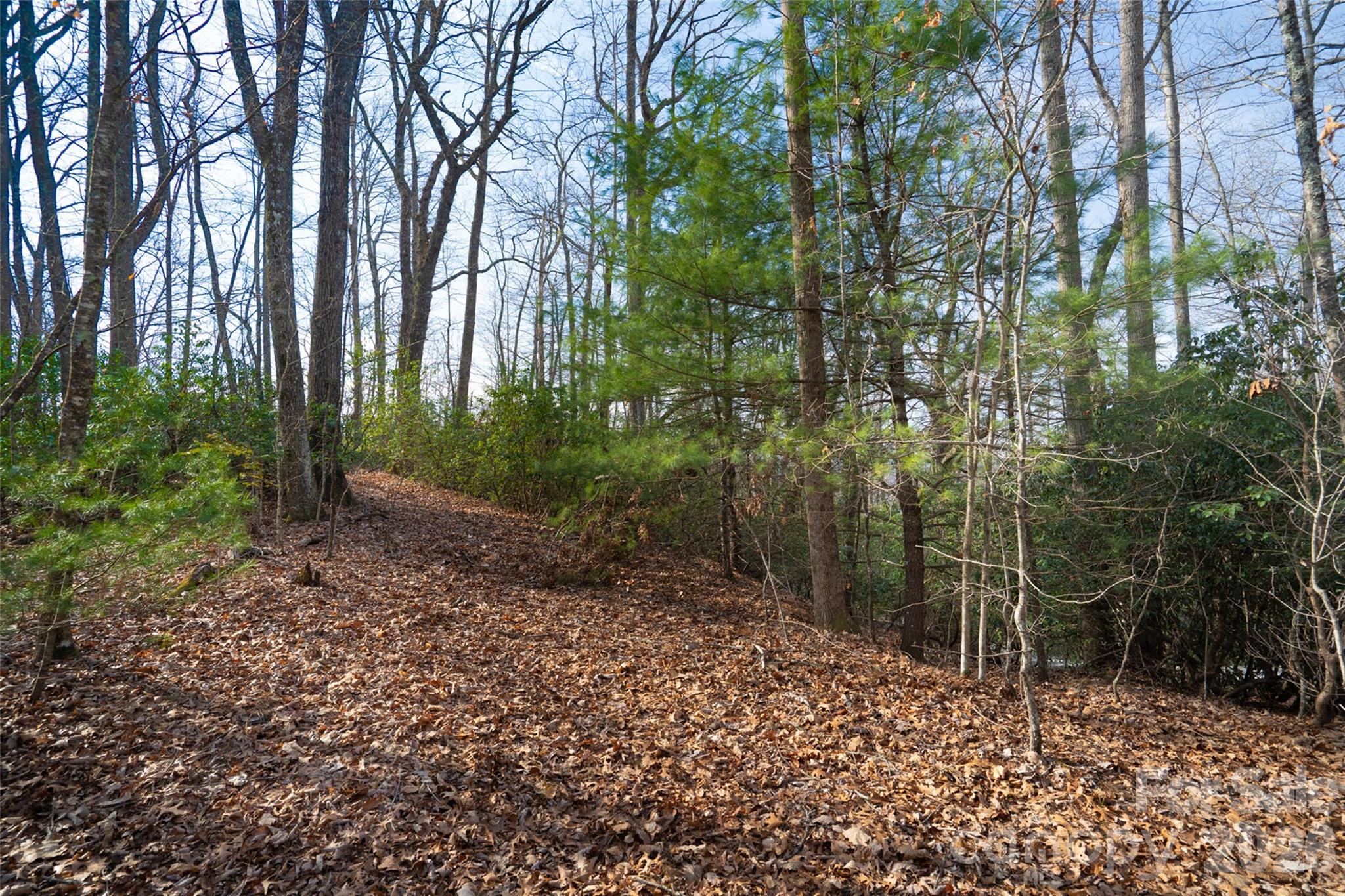 Lot at 29 Open Ridge Trail, Pisgah Forest, photo 9 of 16