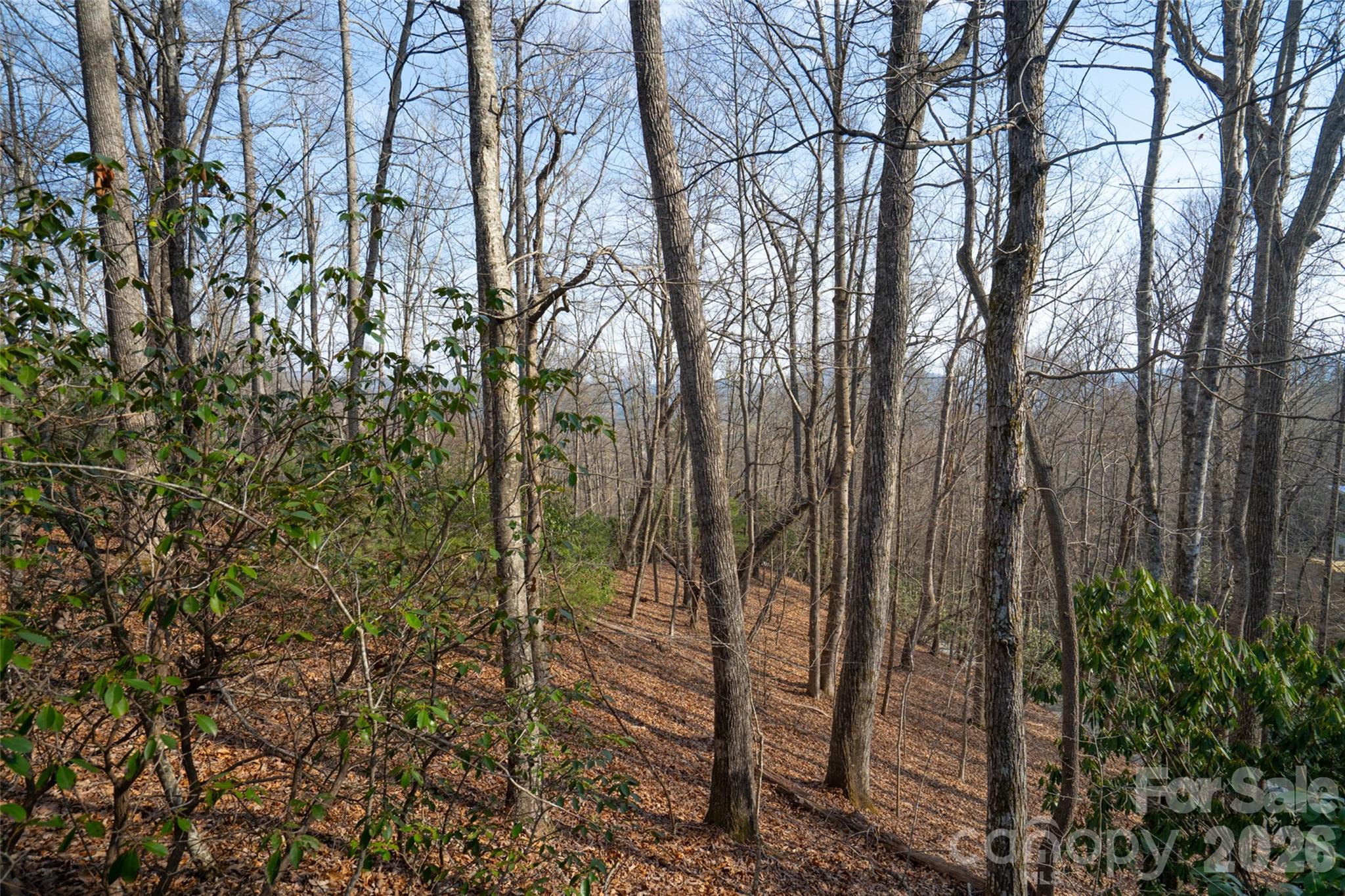 Lot at 29 Open Ridge Trail, Pisgah Forest, photo 10 of 16