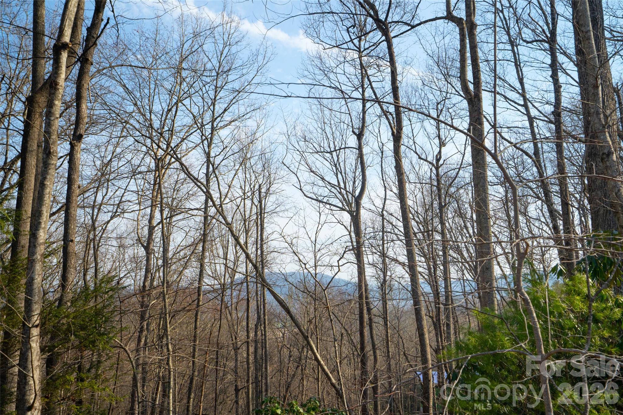 Lot at 29 Open Ridge Trail, Pisgah Forest, photo 11 of 16