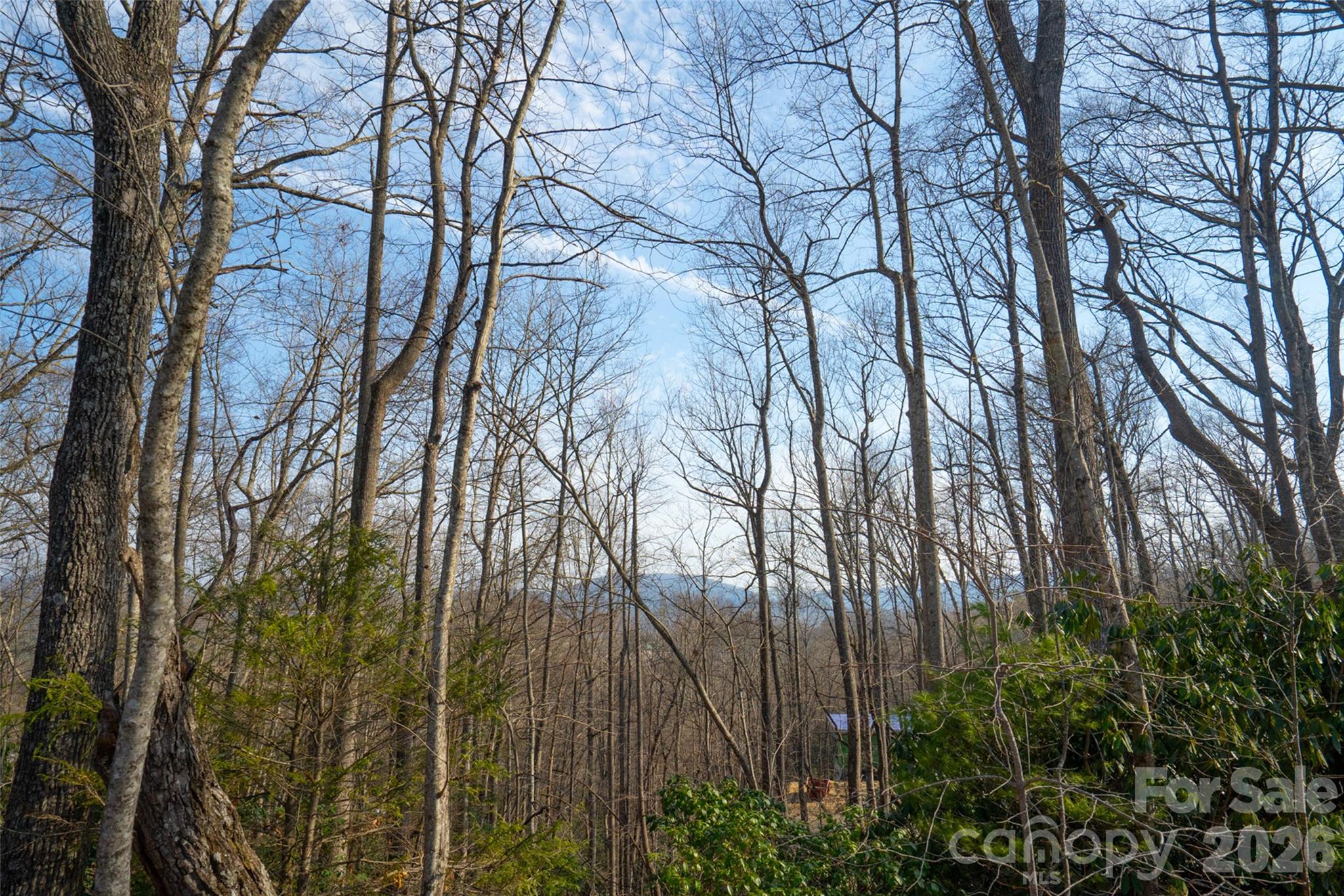 Lot at 29 Open Ridge Trail, Pisgah Forest, photo 12 of 16