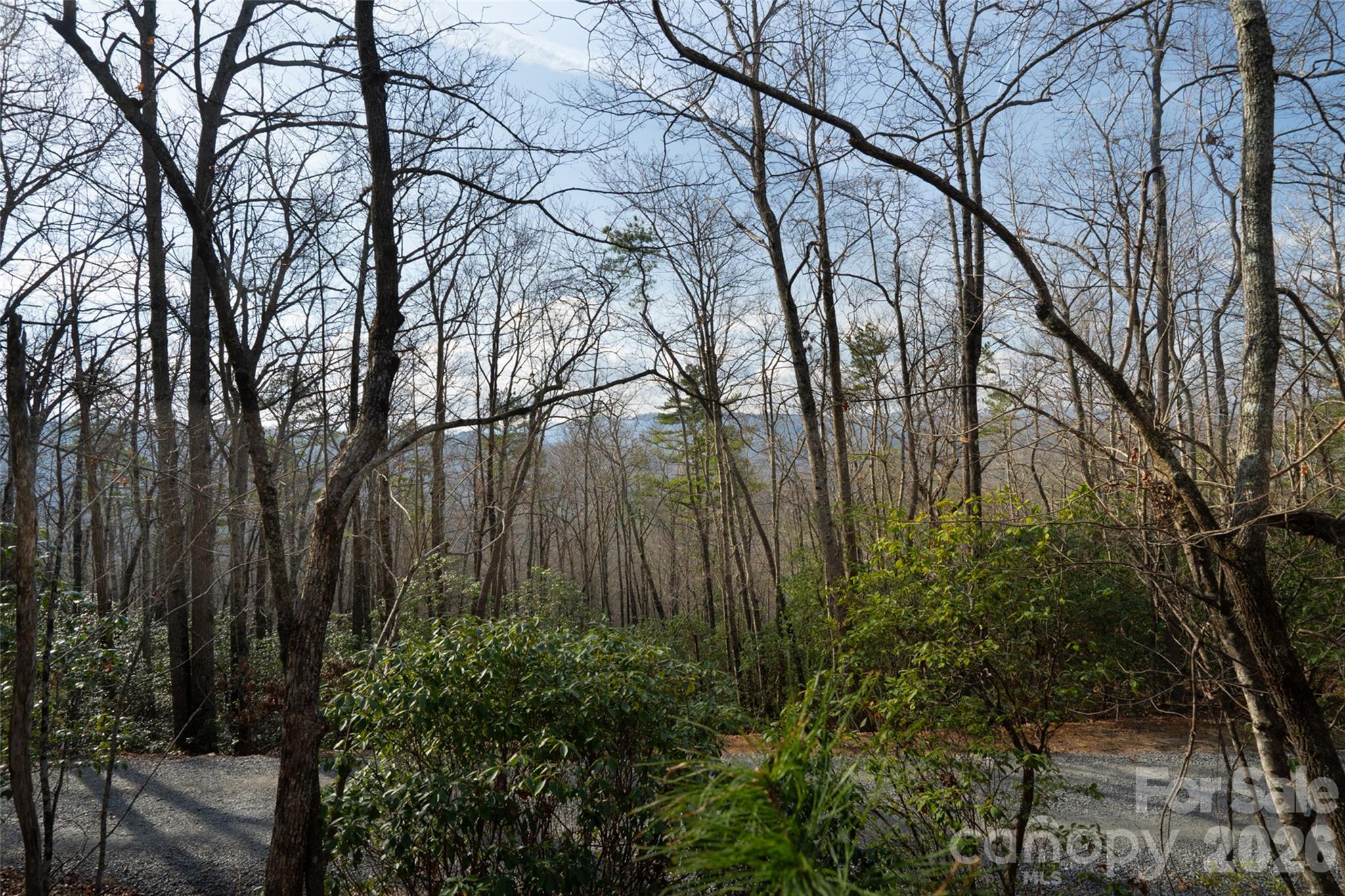 Lot at 29 Open Ridge Trail, Pisgah Forest, photo 13 of 16