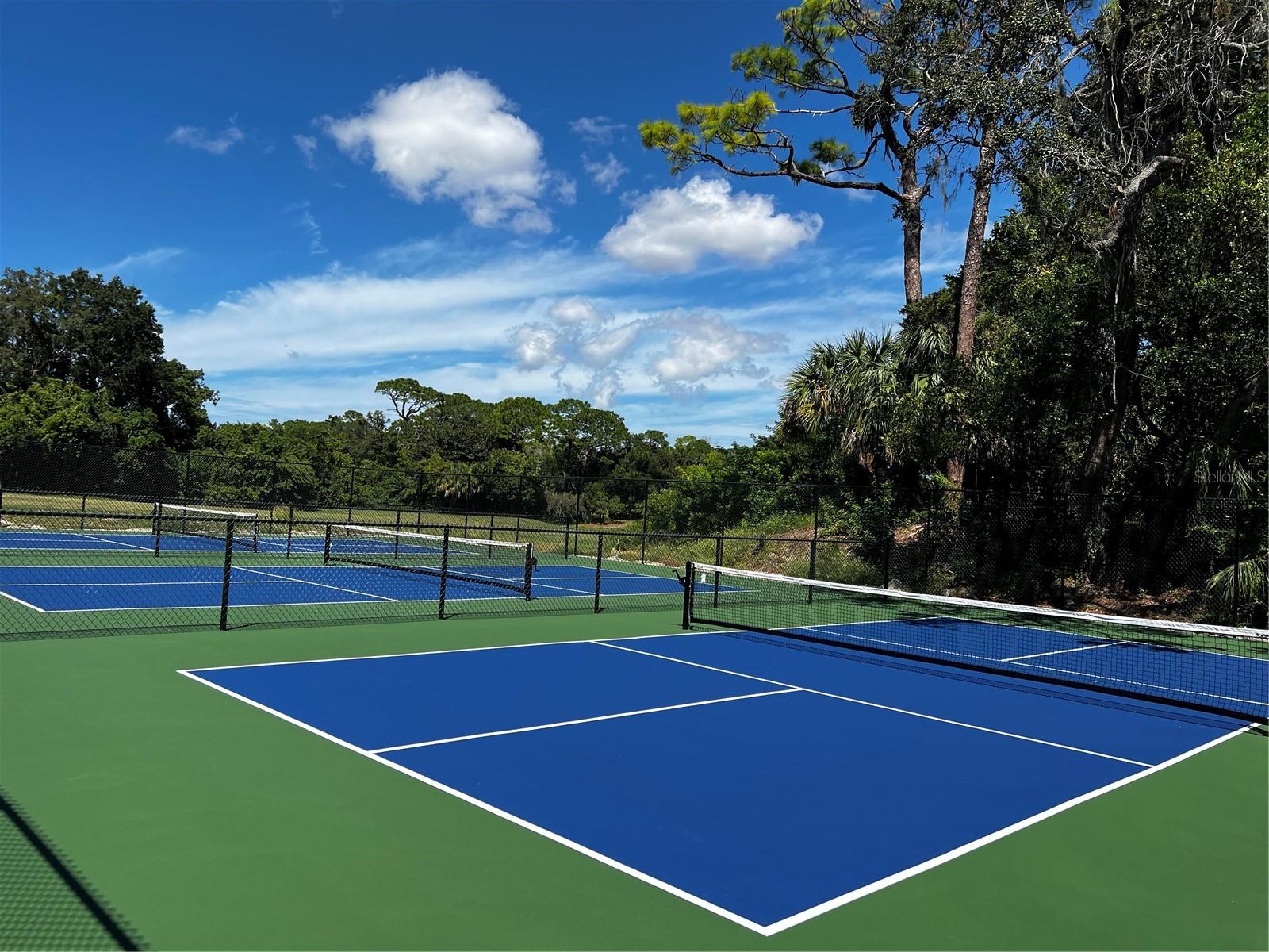 Condominium at 36750 US HIGHWAY 19 N #22208, PALM HARBOR, photo 63 of 72