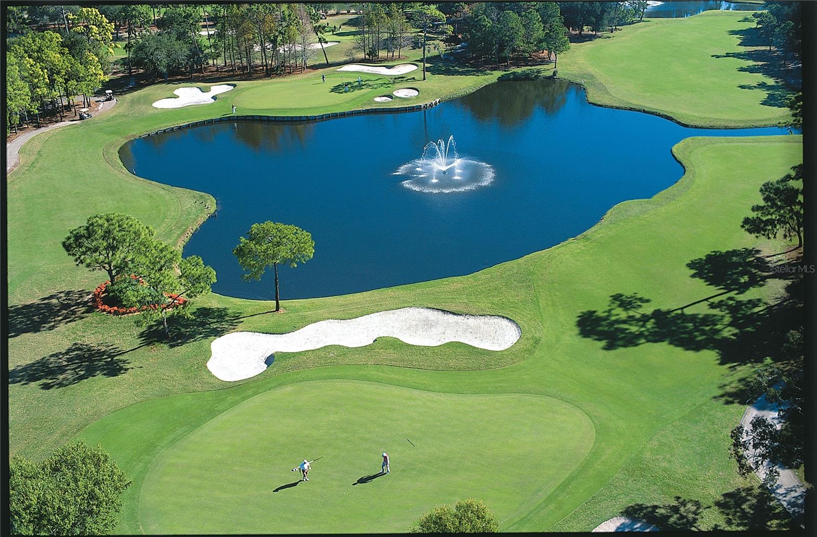 Condominium at 36750 US HIGHWAY 19 N #22208, PALM HARBOR, photo 66 of 72