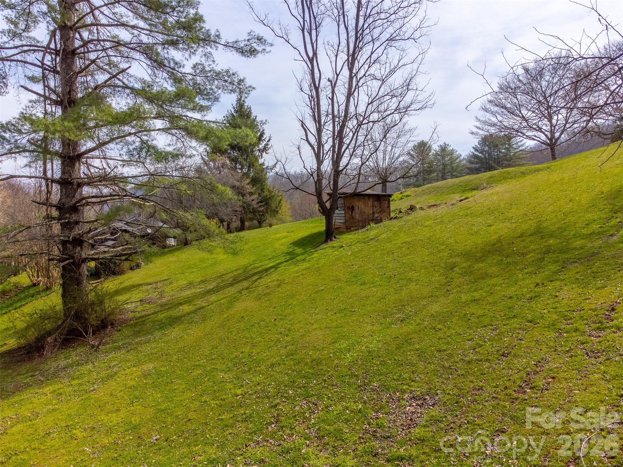 Single Family Residence at 318 Sunrise Park, Sylva, photo 39 of 47