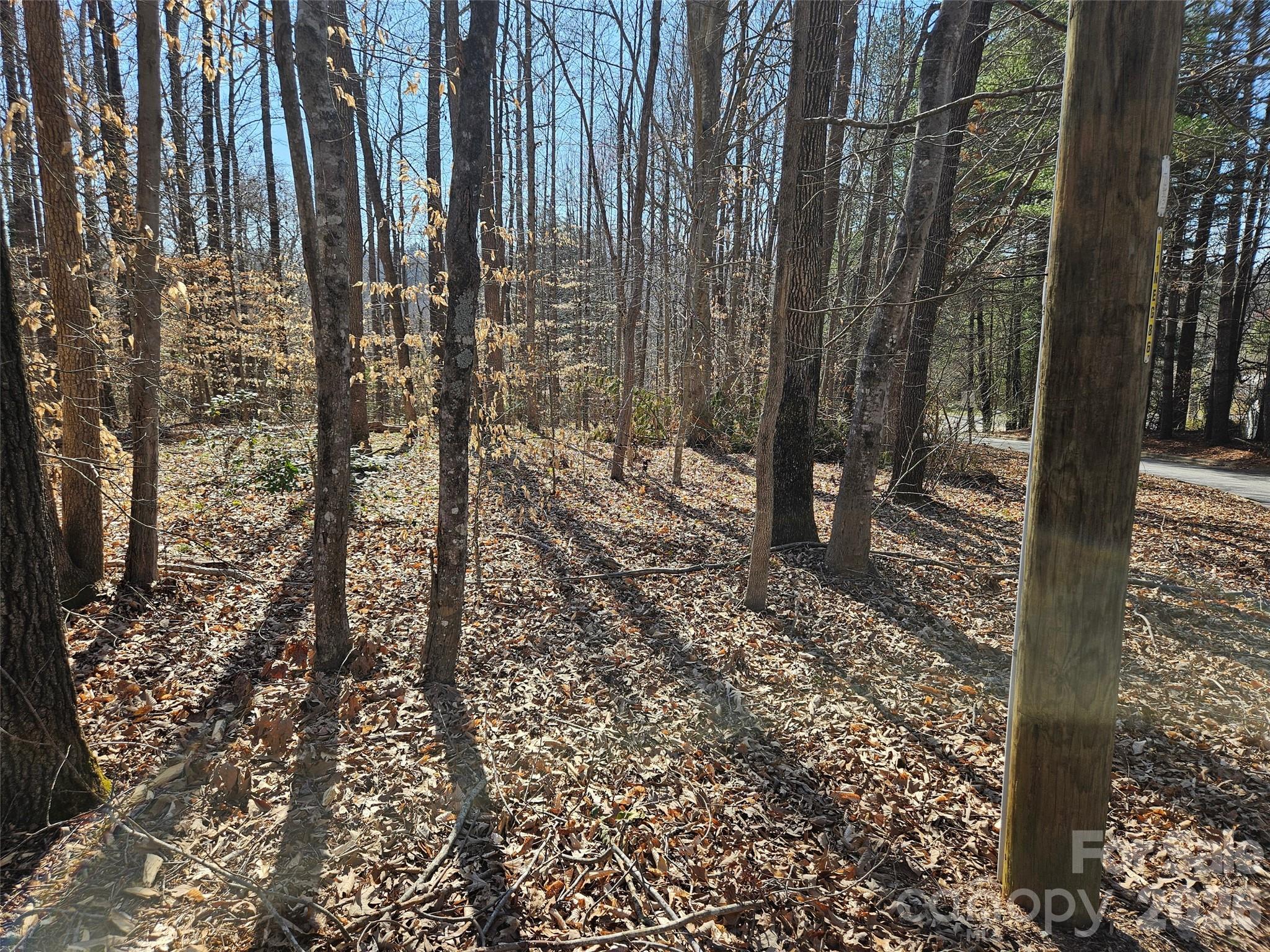 Lot at 0 General Griffith Circle, Rutherfordton, photo 2 of 8