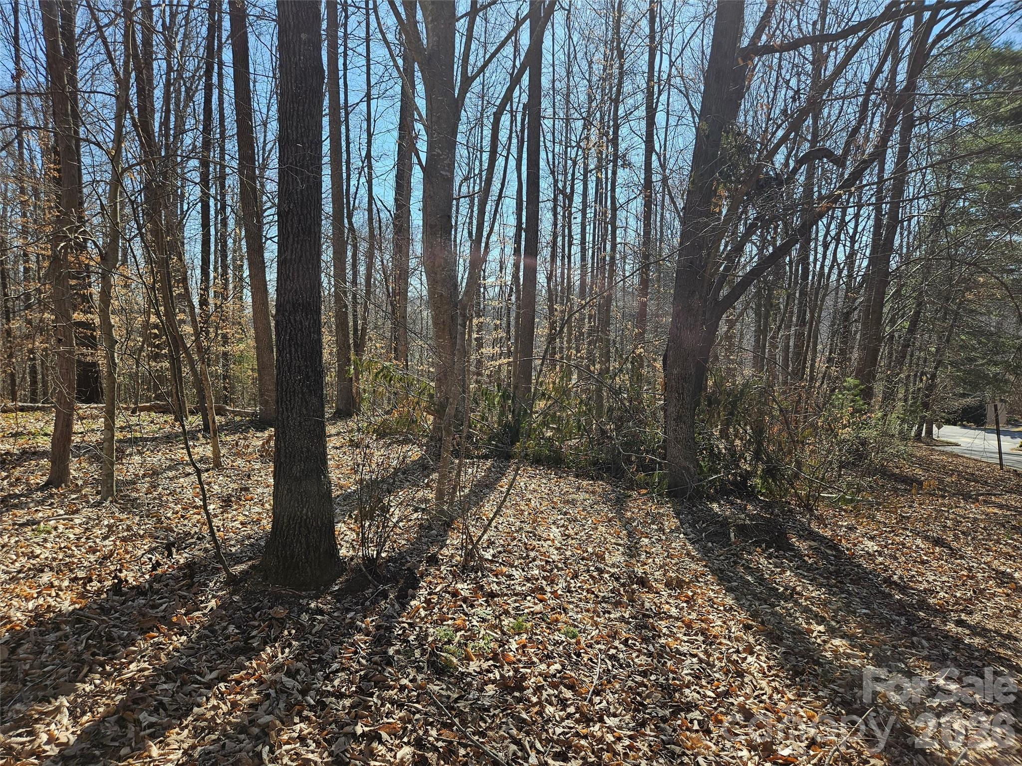 Lot at 0 General Griffith Circle, Rutherfordton, photo 3 of 8