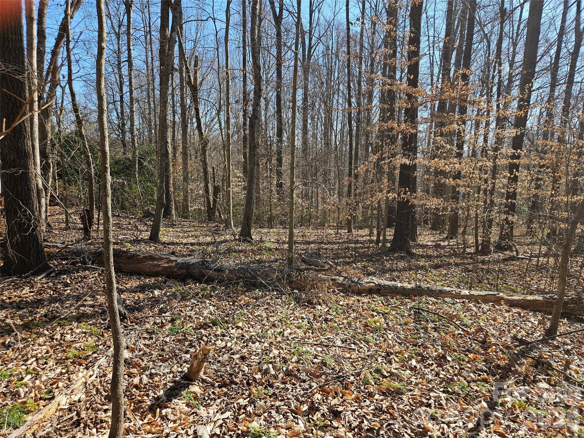 Lot at 0 General Griffith Circle, Rutherfordton, photo 5 of 8