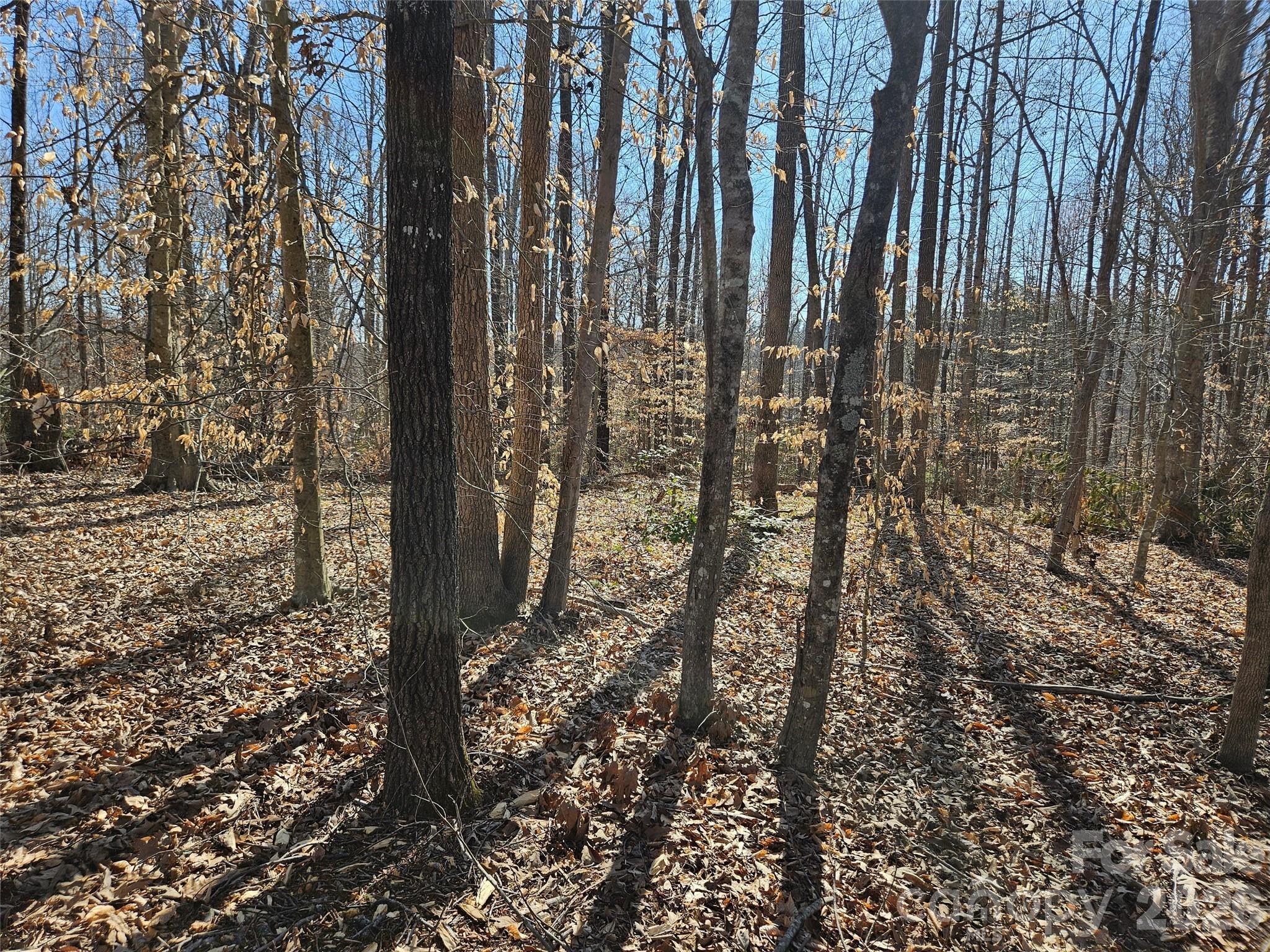 Lot at 0 General Griffith Circle, Rutherfordton, photo 8 of 8