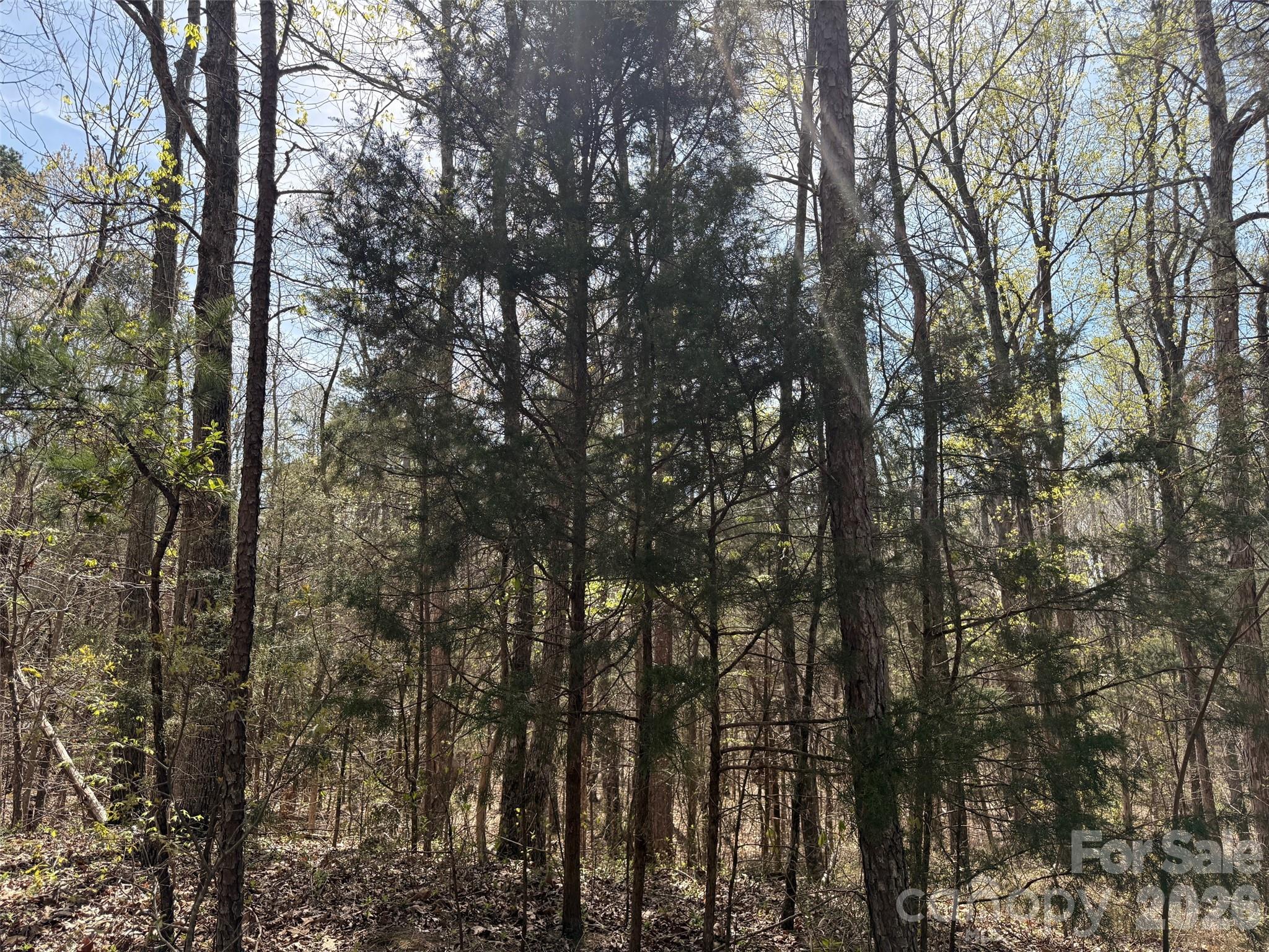 Lot at 6223 Twining Vine Court, Kannapolis, photo 2 of 4