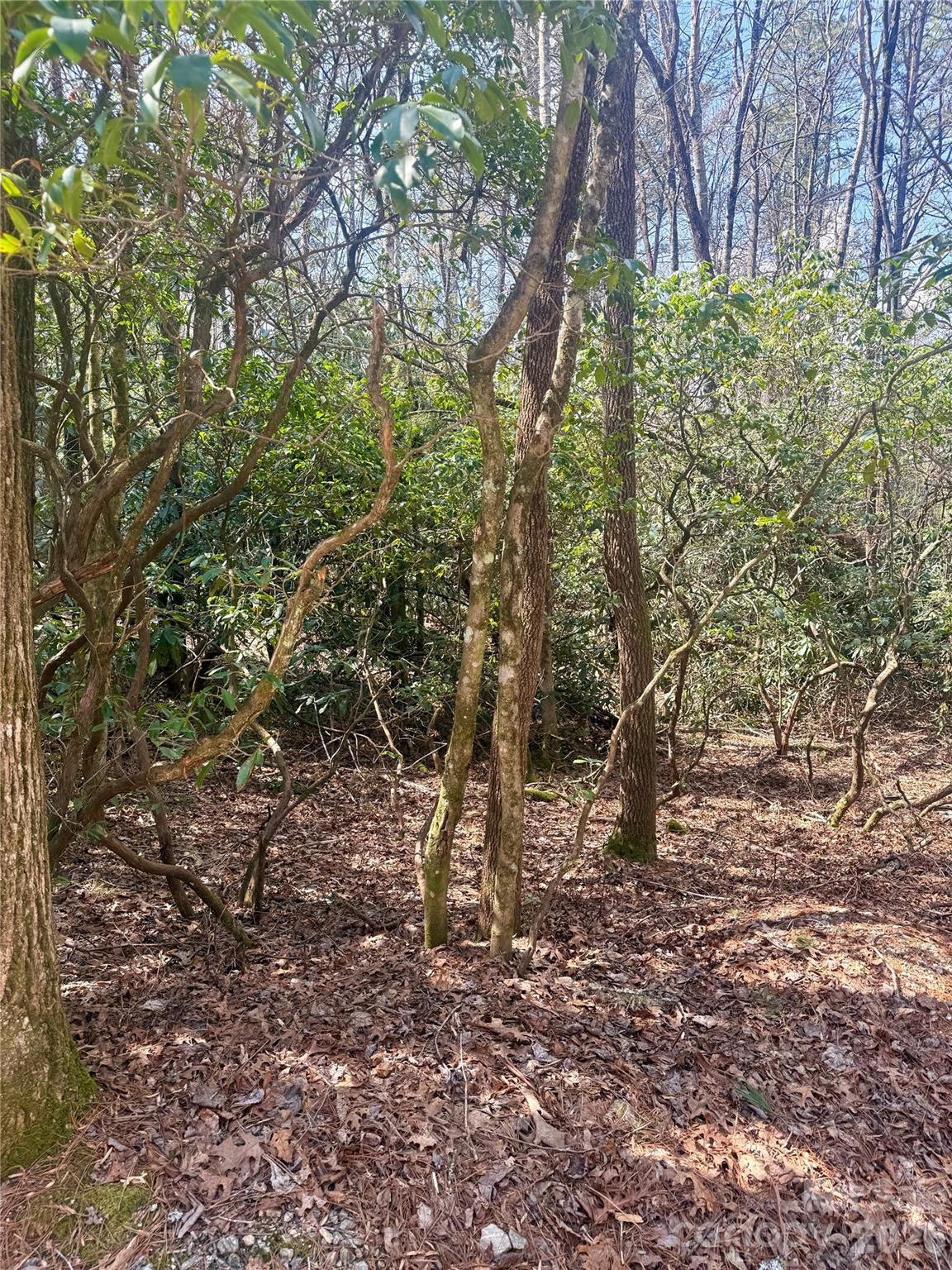 Lot at TBD Minerva Lane, Sapphire, photo 2 of 13