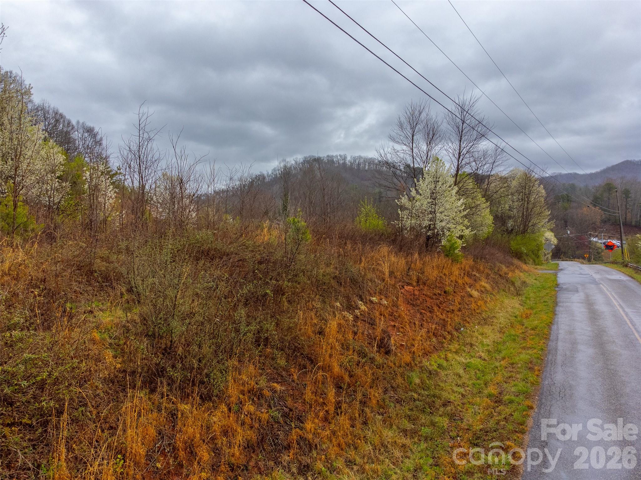 Acreage at 0 Connor Road, Sylva, photo 3 of 22