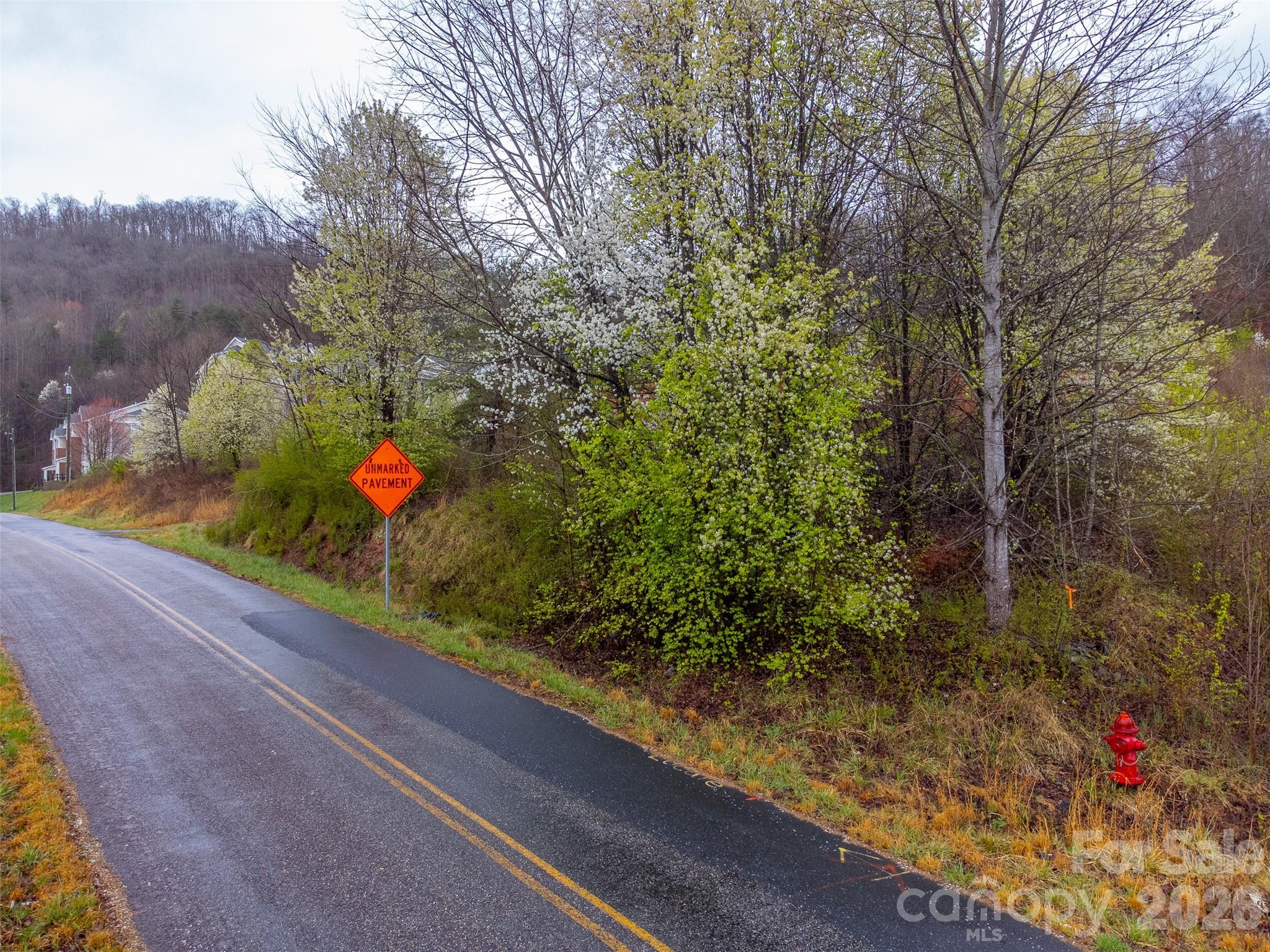 Acreage at 0 Connor Road, Sylva, photo 4 of 22