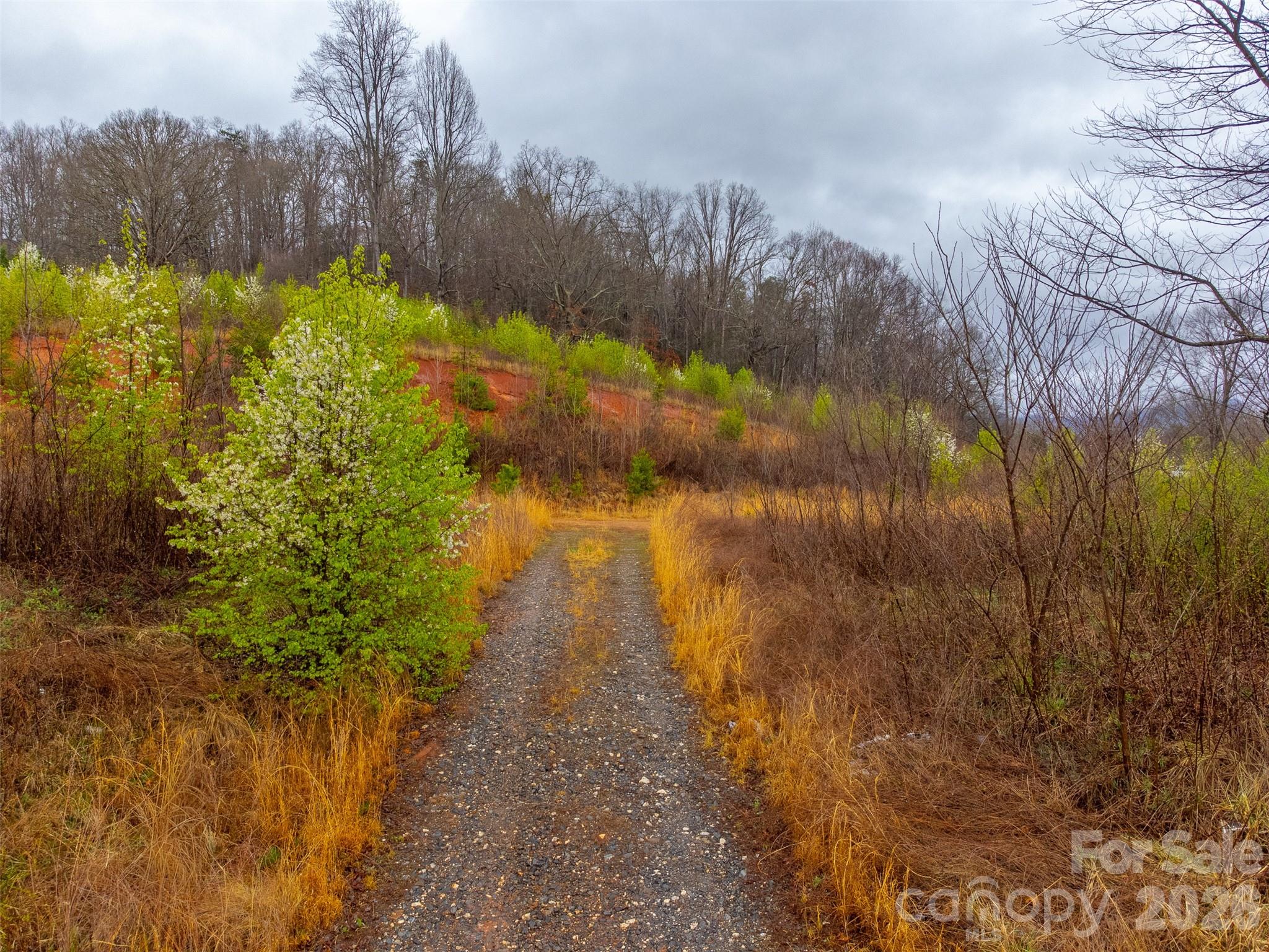Acreage at 0 Connor Road, Sylva, photo 5 of 22