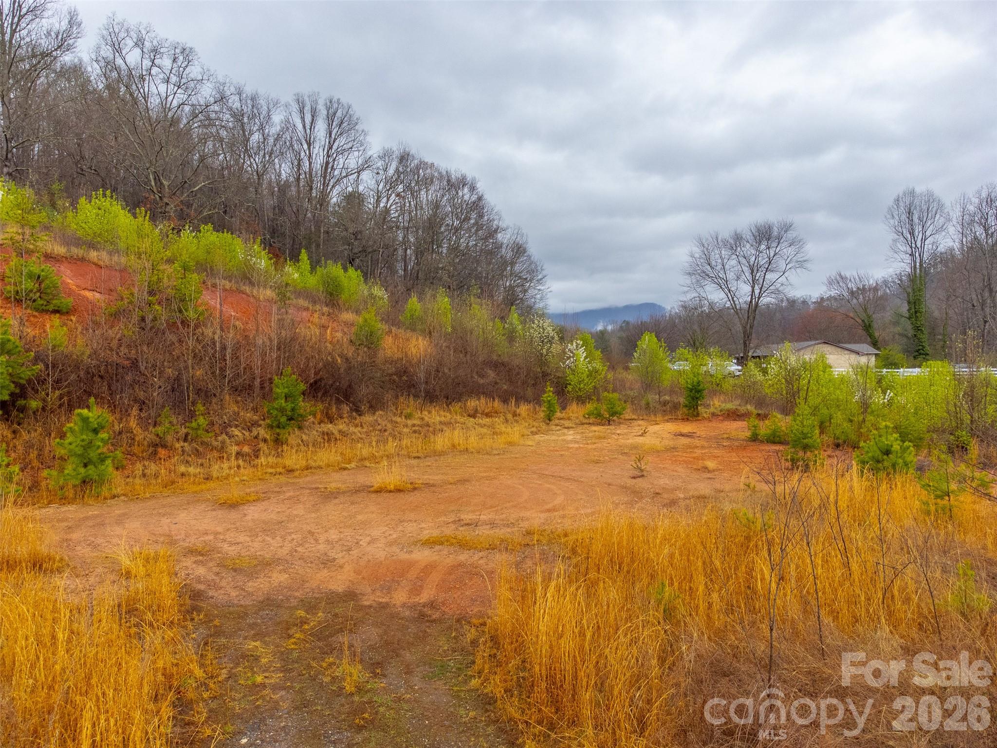 Acreage at 0 Connor Road, Sylva, photo 6 of 22
