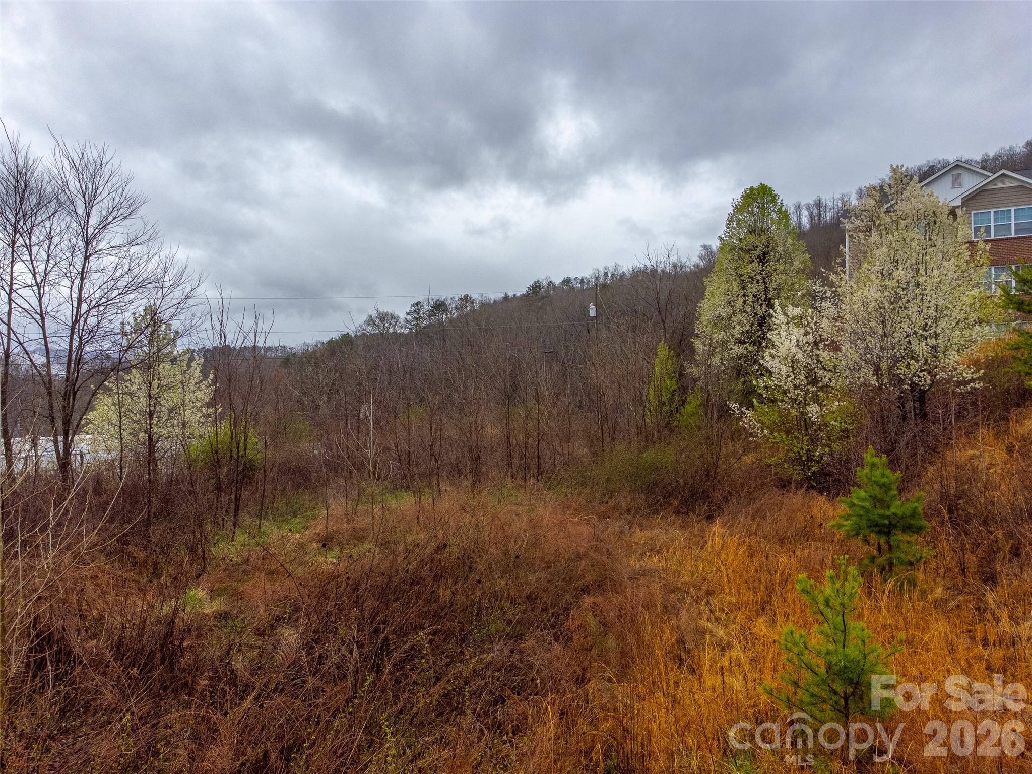 Acreage at 0 Connor Road, Sylva, photo 7 of 22