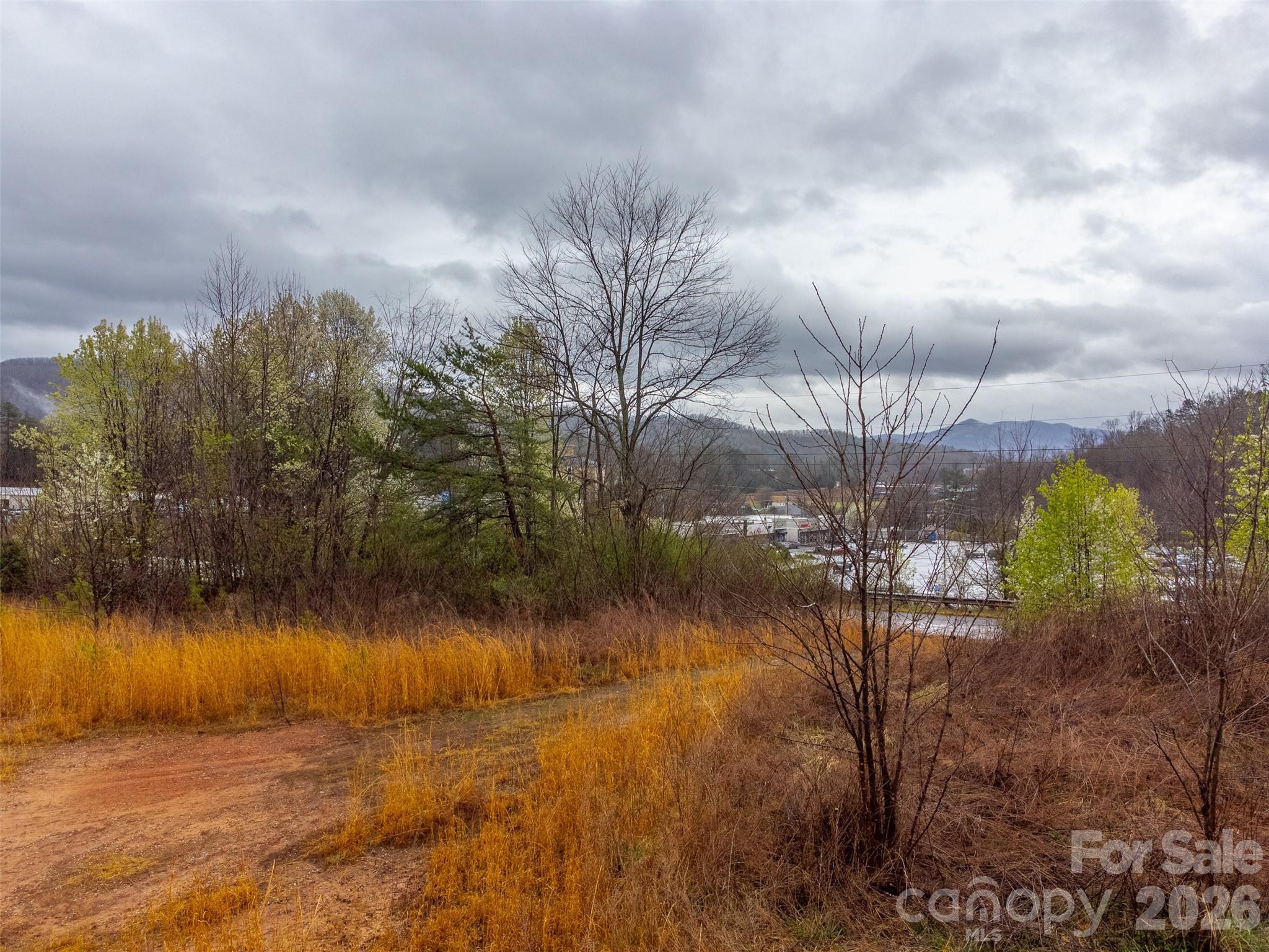 Acreage at 0 Connor Road, Sylva, photo 8 of 22