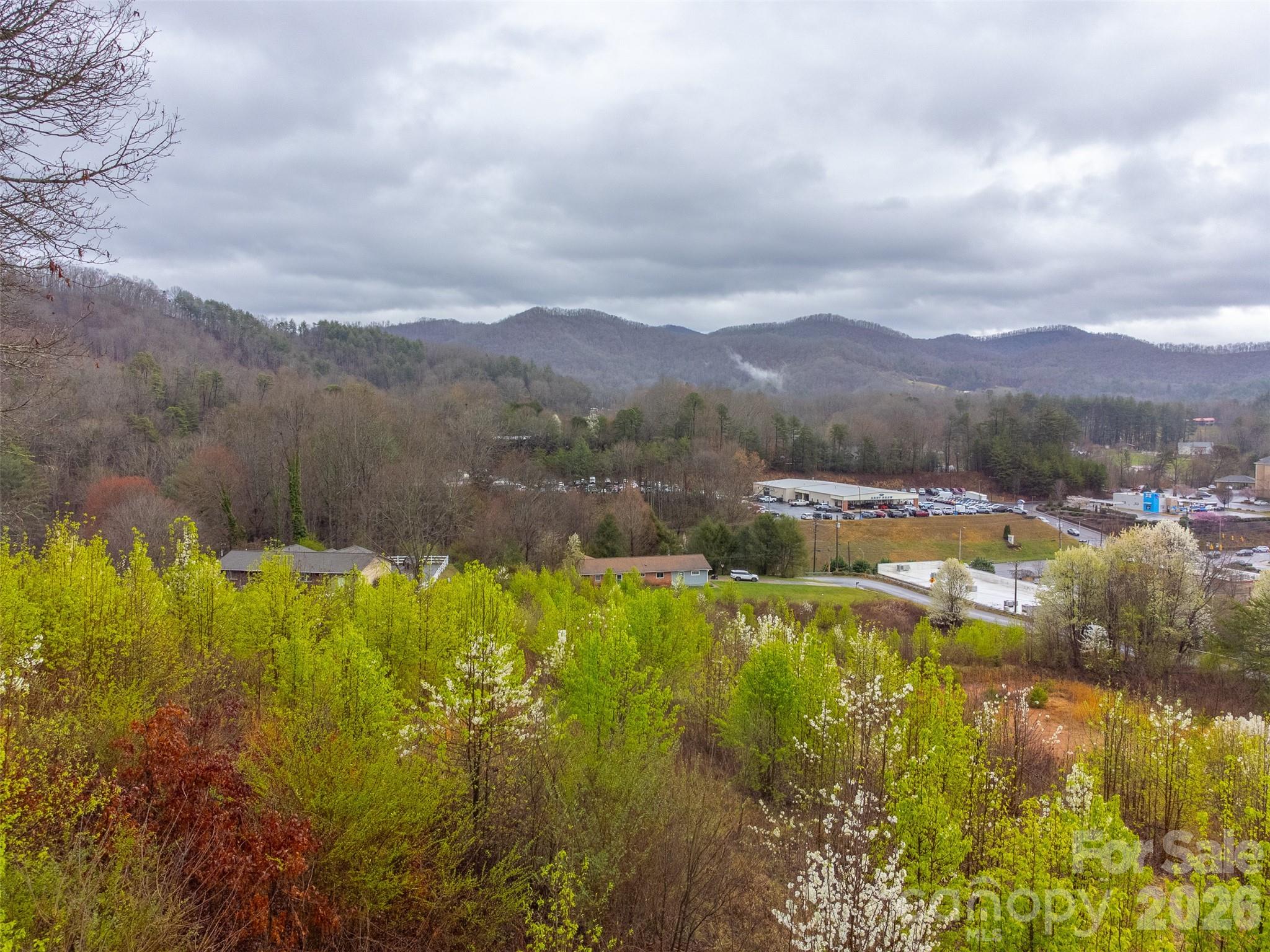 Acreage at 0 Connor Road, Sylva, photo 13 of 22
