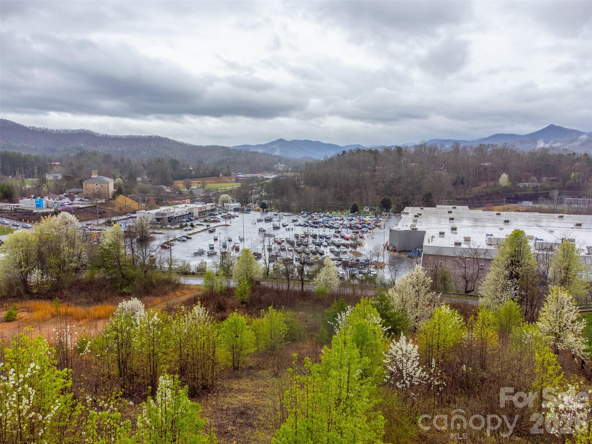 Acreage at 0 Connor Road, Sylva, photo 14 of 22