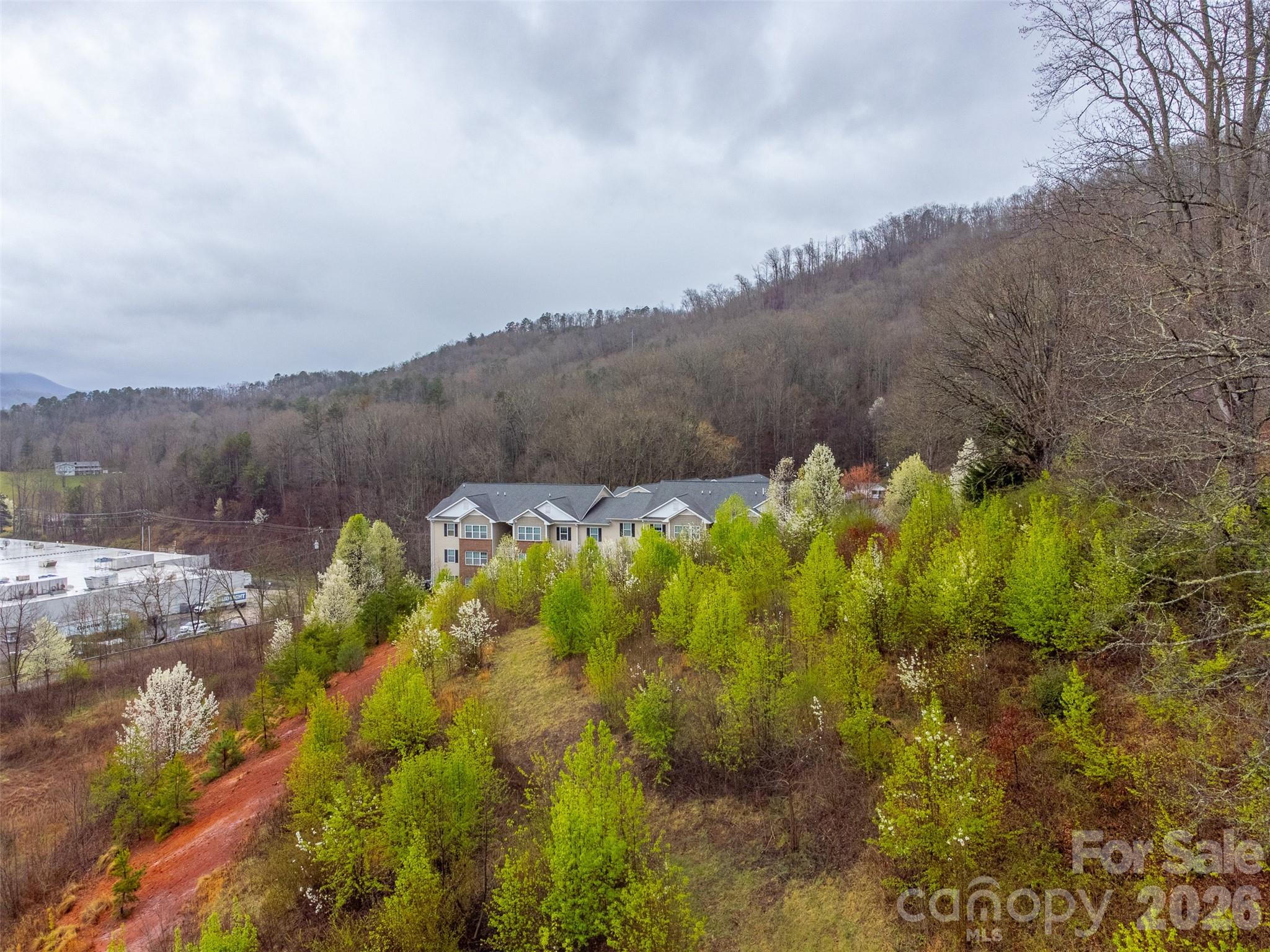 Acreage at 0 Connor Road, Sylva, photo 15 of 22