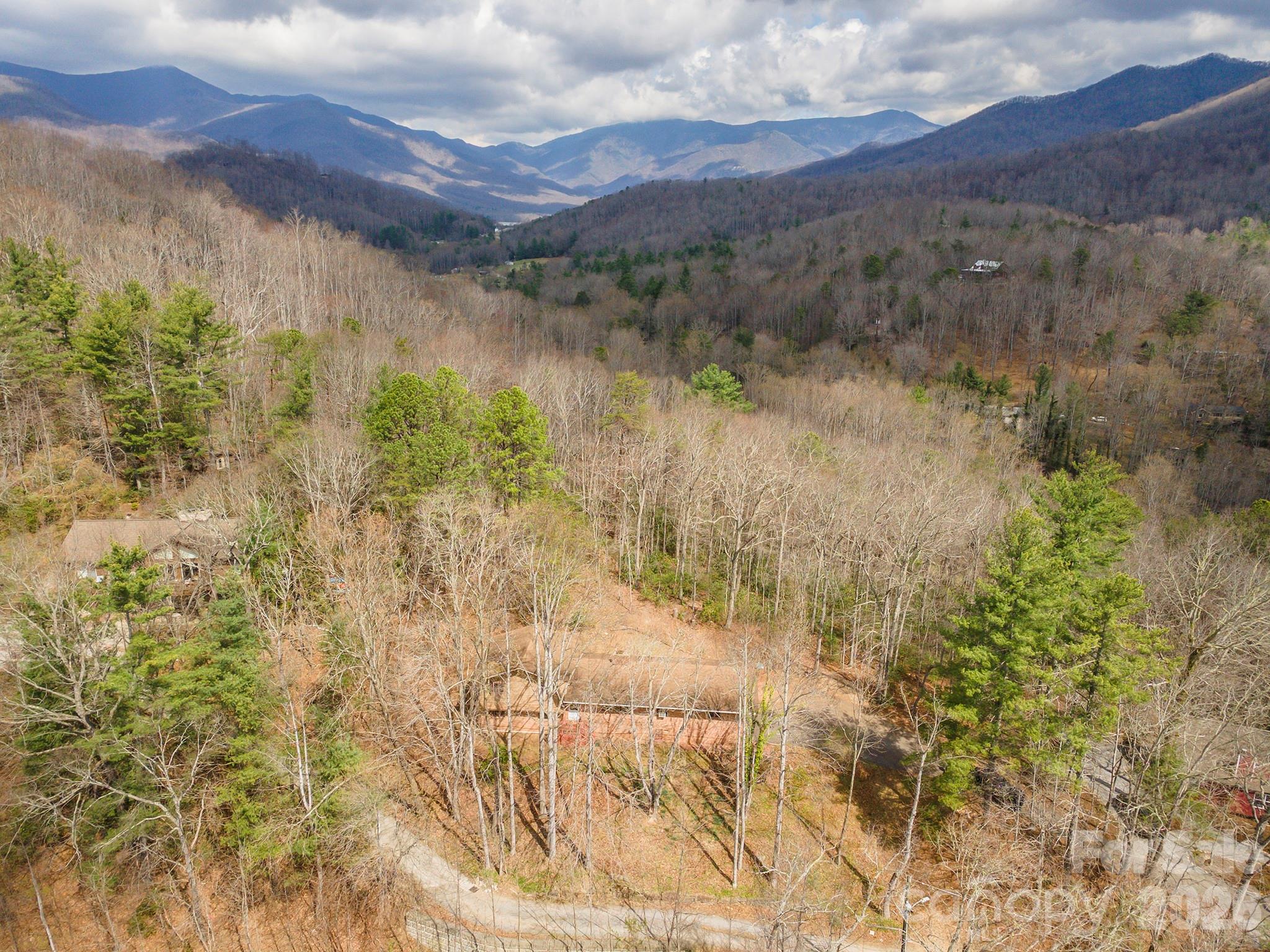 Single Family Residence at 118 Richard Lane, Black Mountain, photo 6 of 43