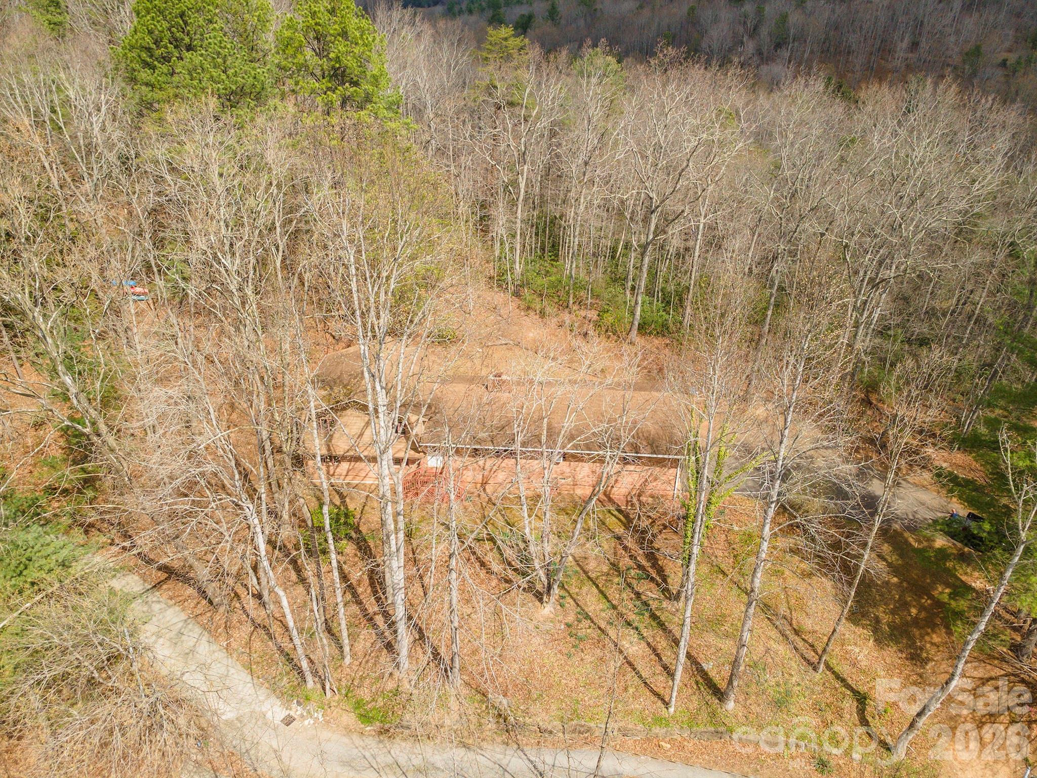 Single Family Residence at 118 Richard Lane, Black Mountain, photo 7 of 43