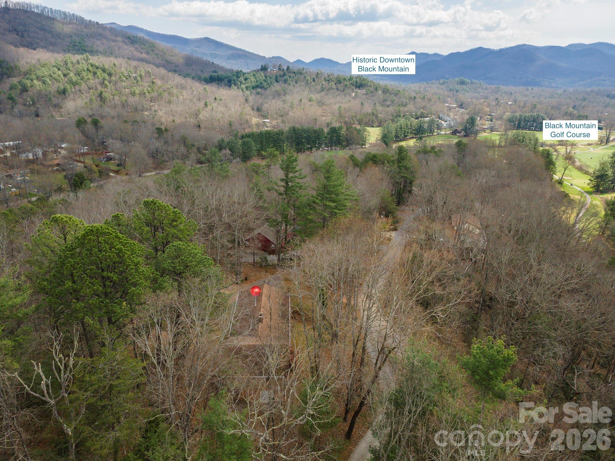 Single Family Residence at 118 Richard Lane, Black Mountain, photo 5 of 43