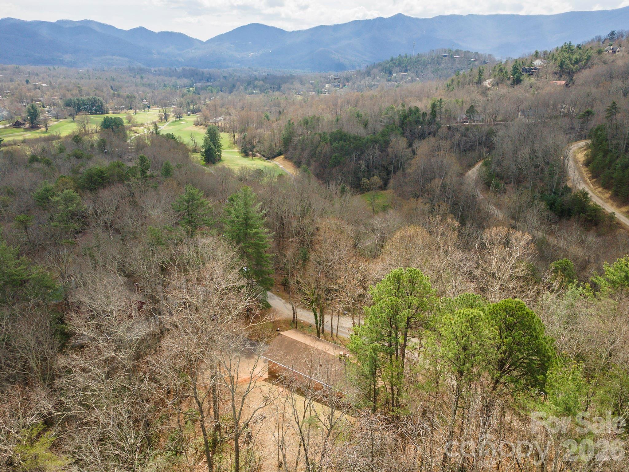 Single Family Residence at 118 Richard Lane, Black Mountain, photo 3 of 43