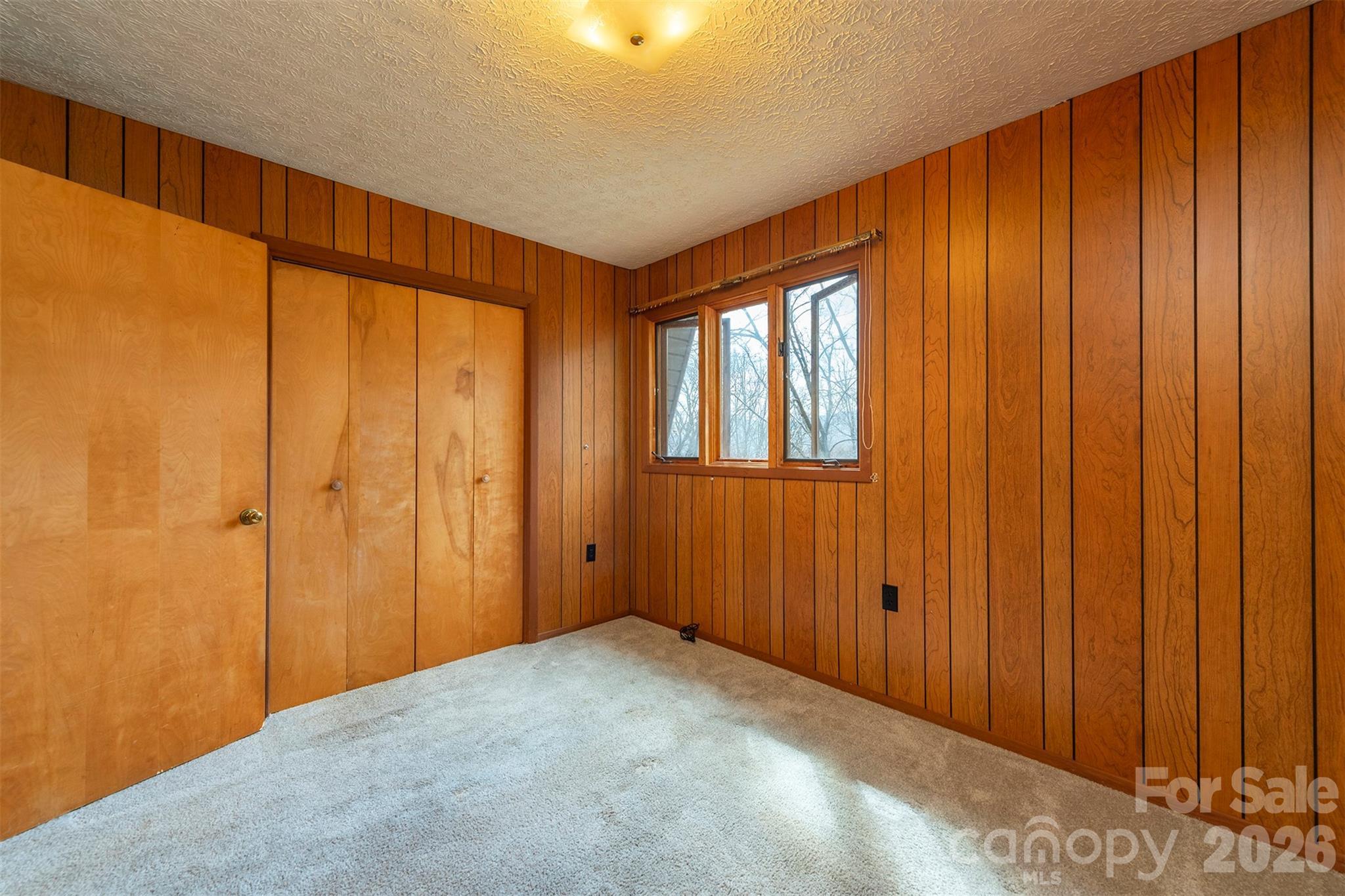 Single Family Residence at 118 Richard Lane, Black Mountain, photo 29 of 43
