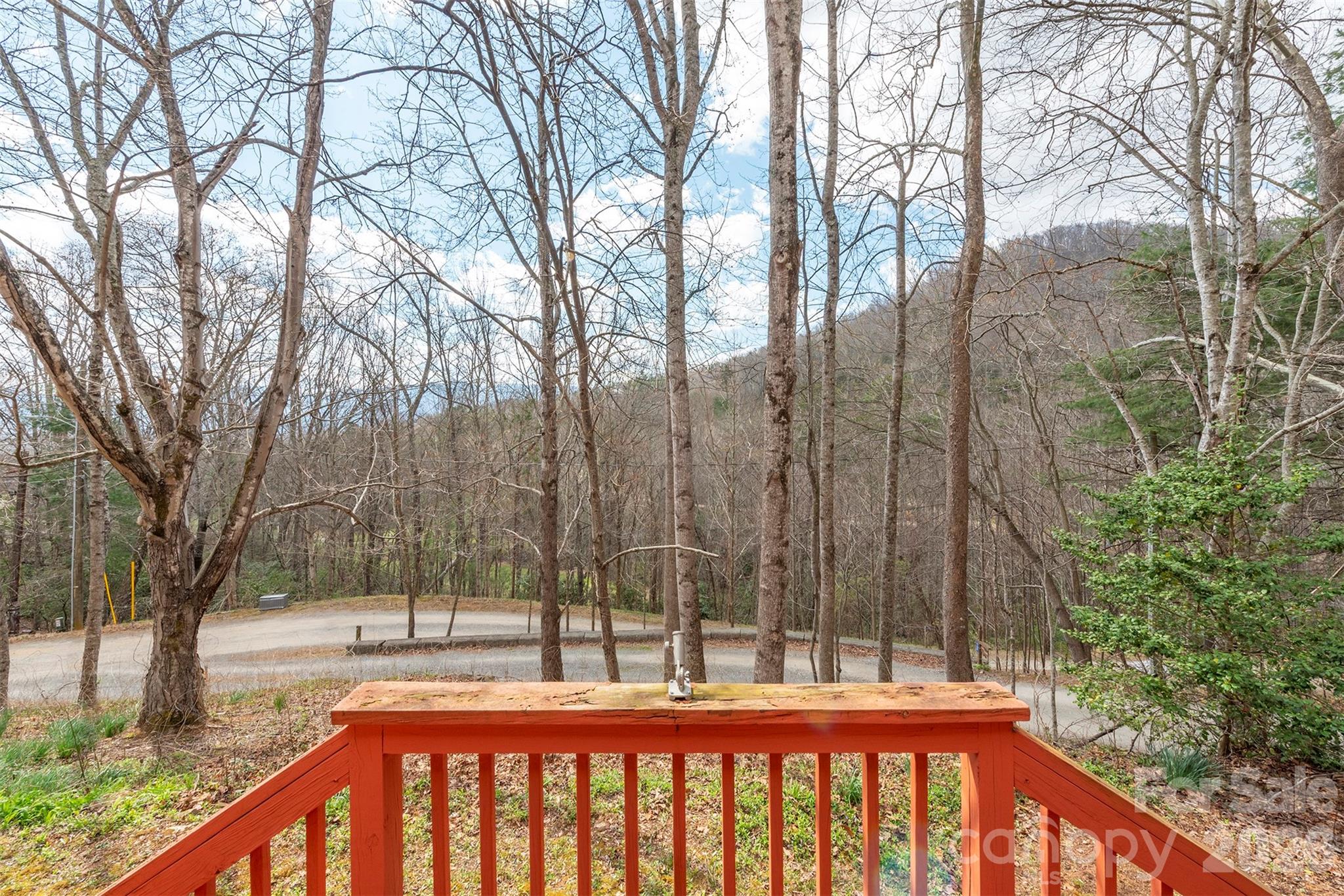 Single Family Residence at 118 Richard Lane, Black Mountain, photo 43 of 43