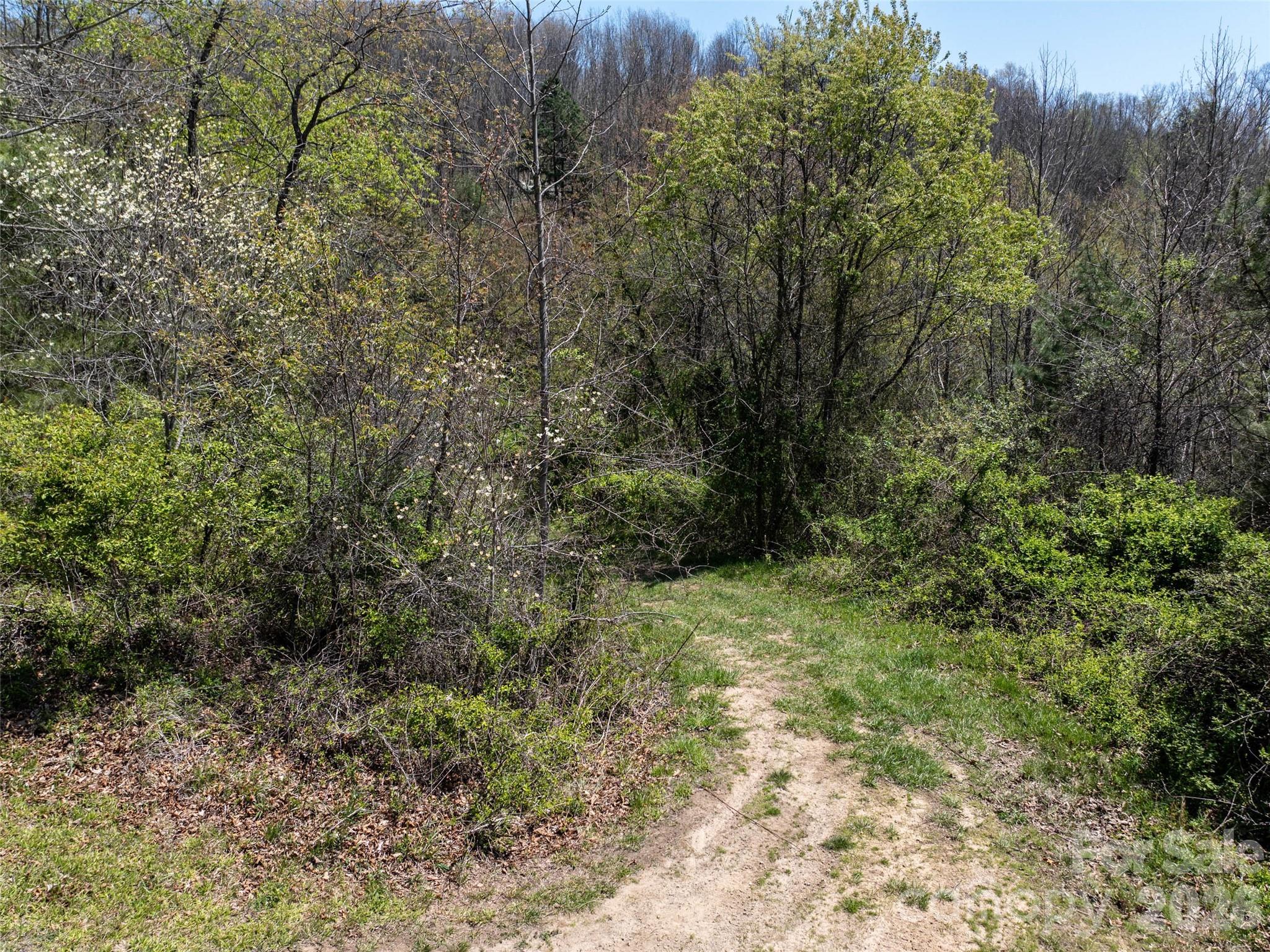 Lot at Lot 43 Sunnybrook Trail, Clyde, photo 3 of 11