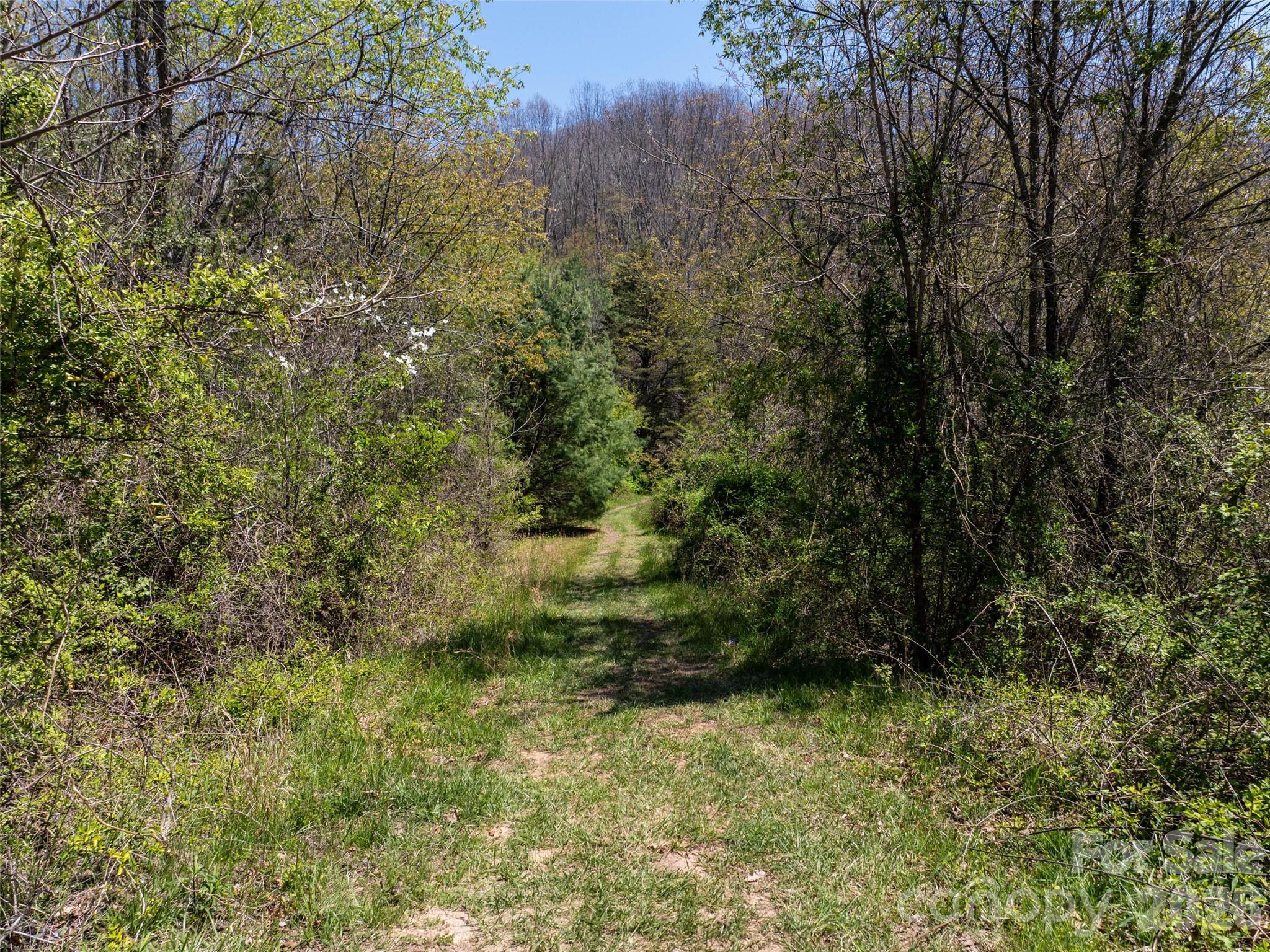 Lot at Lot 43 Sunnybrook Trail, Clyde, photo 4 of 11