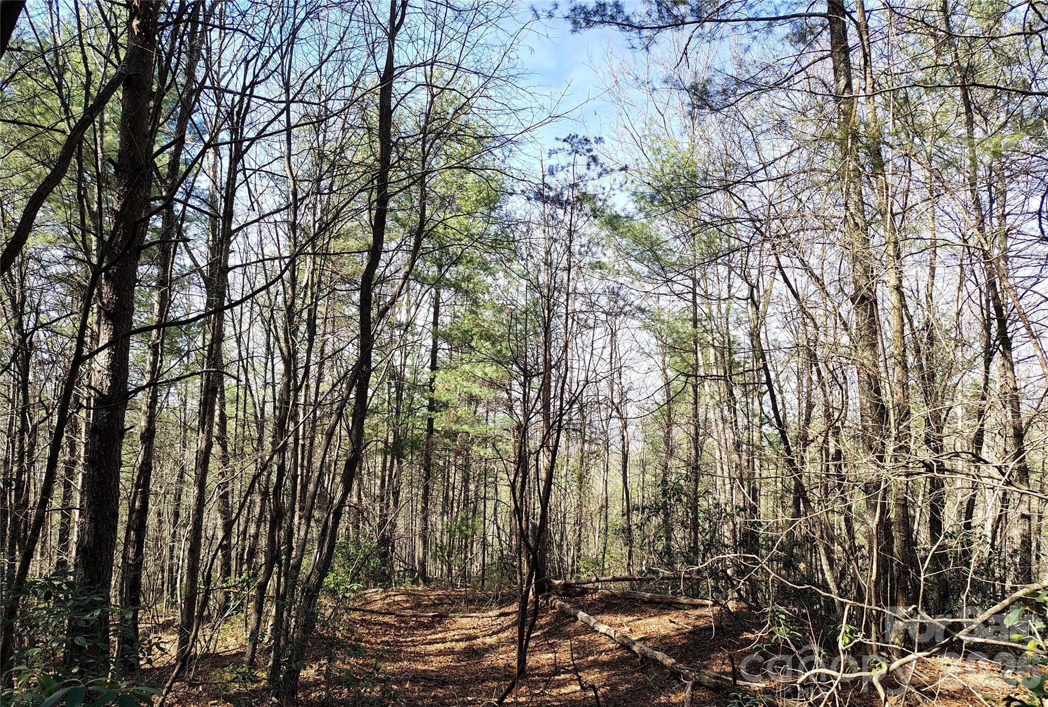 Wooded 10 Acre Lot 7 - 10 Acres Tahoe Trail, Collettsville