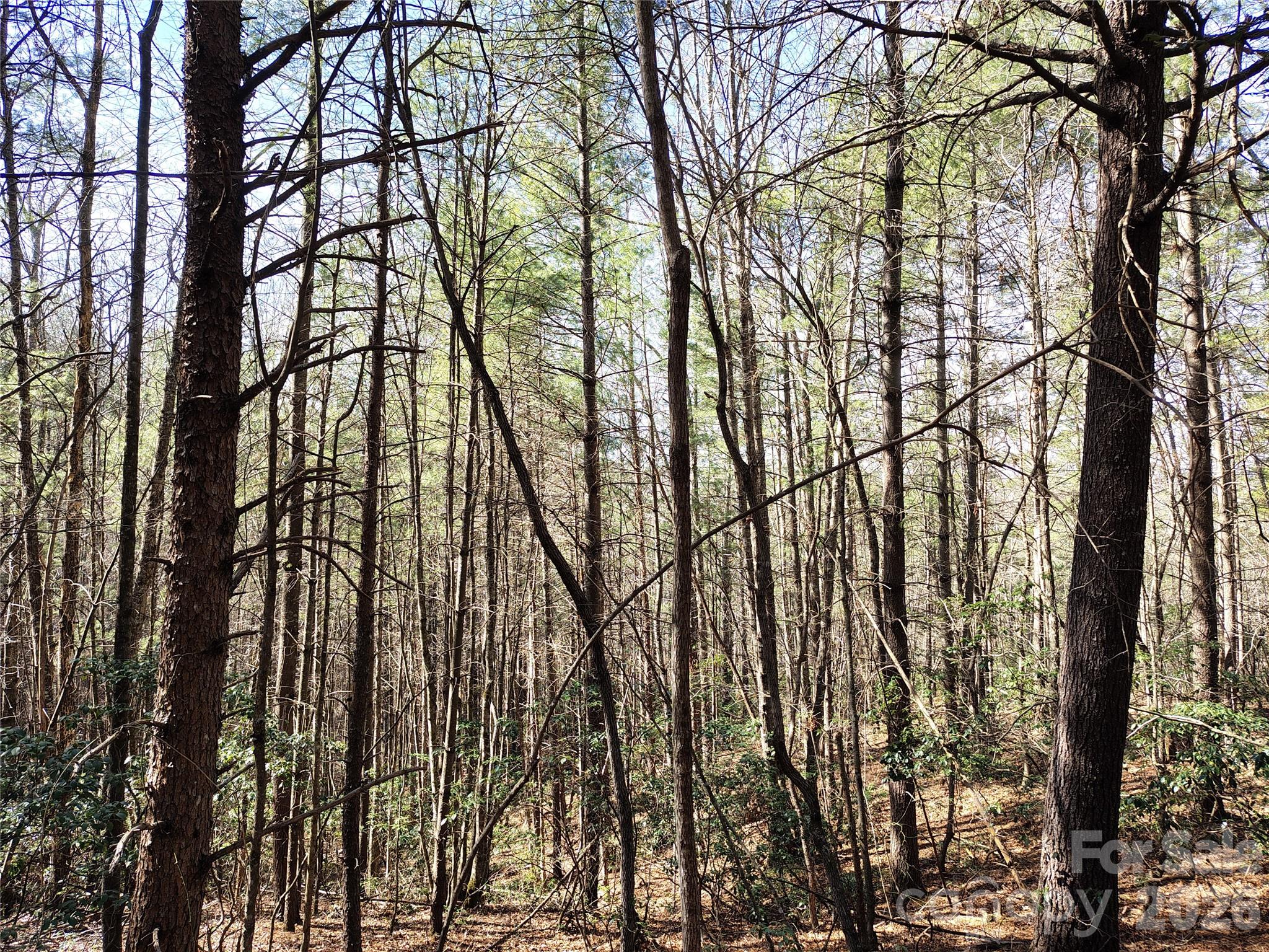 Wooded 10 Acre Lot 7 - 10 Acres Tahoe Trail, Collettsville