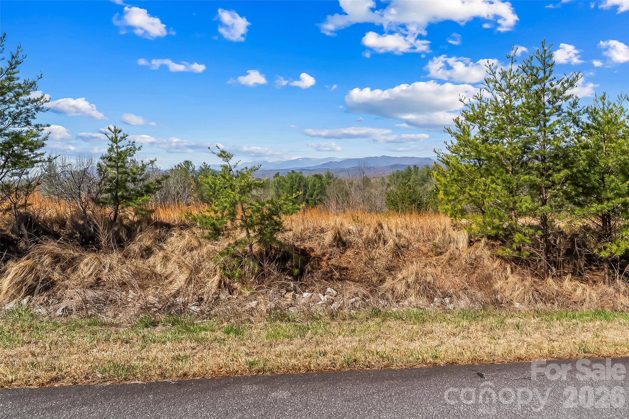 Lot at 121 Lake Crest Drive, Nebo, photo 3 of 17