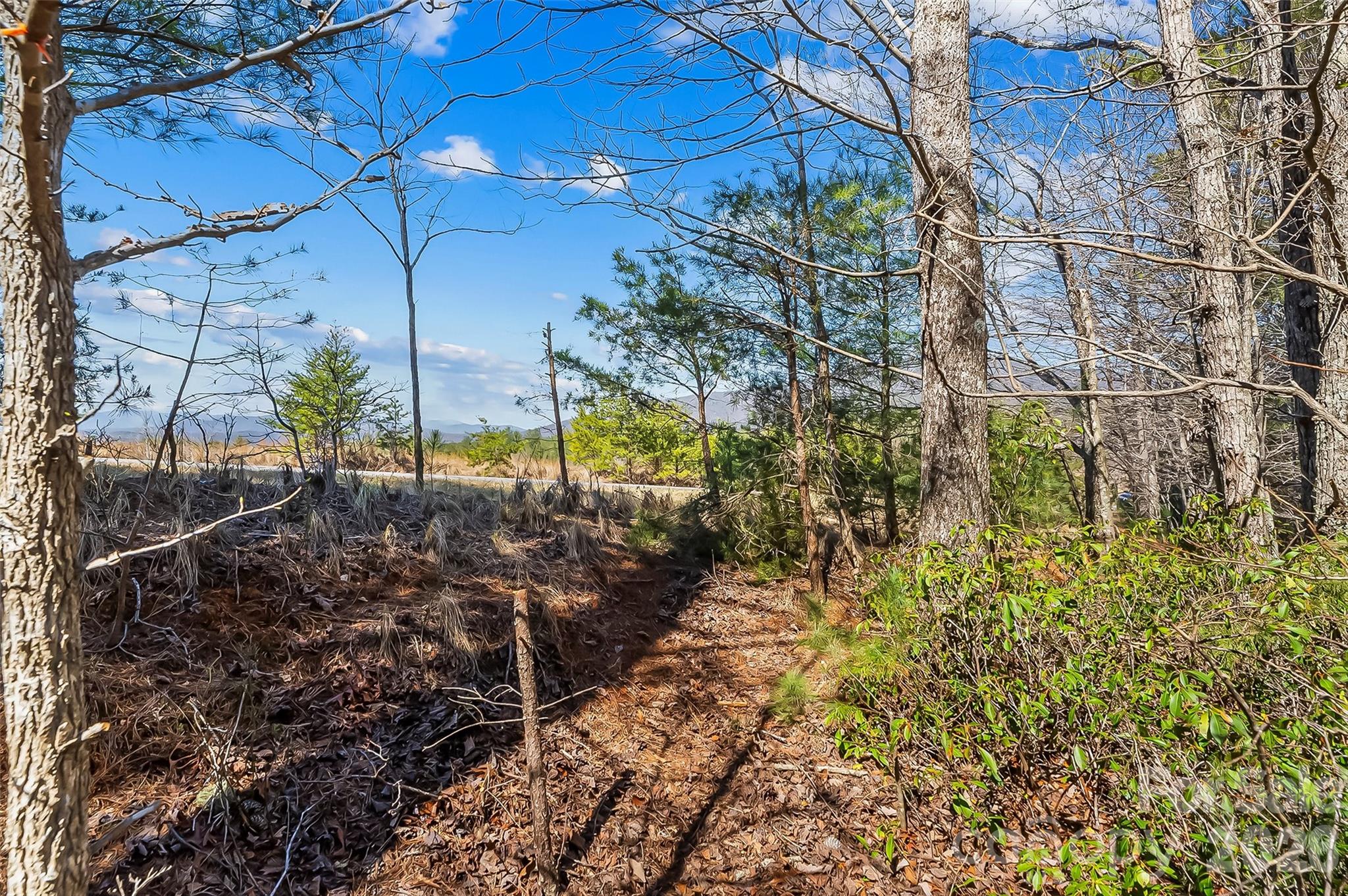 Lot at 121 Lake Crest Drive, Nebo, photo 7 of 17