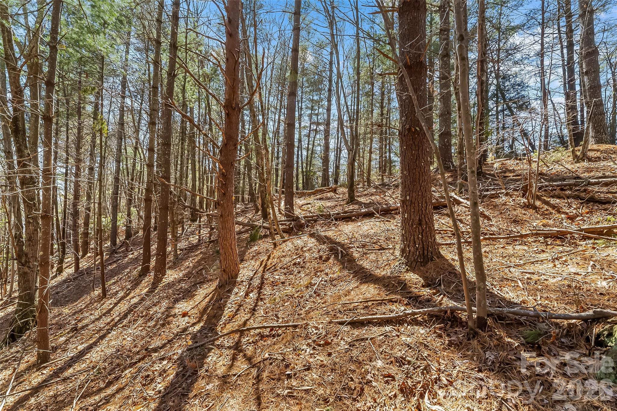Lot at 121 Lake Crest Drive, Nebo, photo 10 of 17
