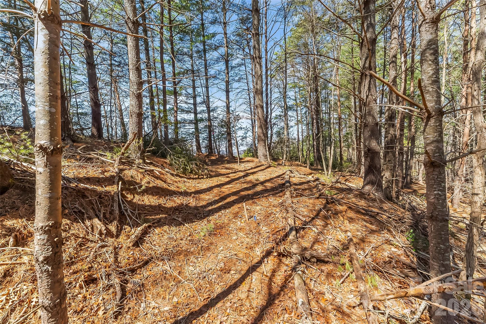 Lot at 121 Lake Crest Drive, Nebo, photo 11 of 17