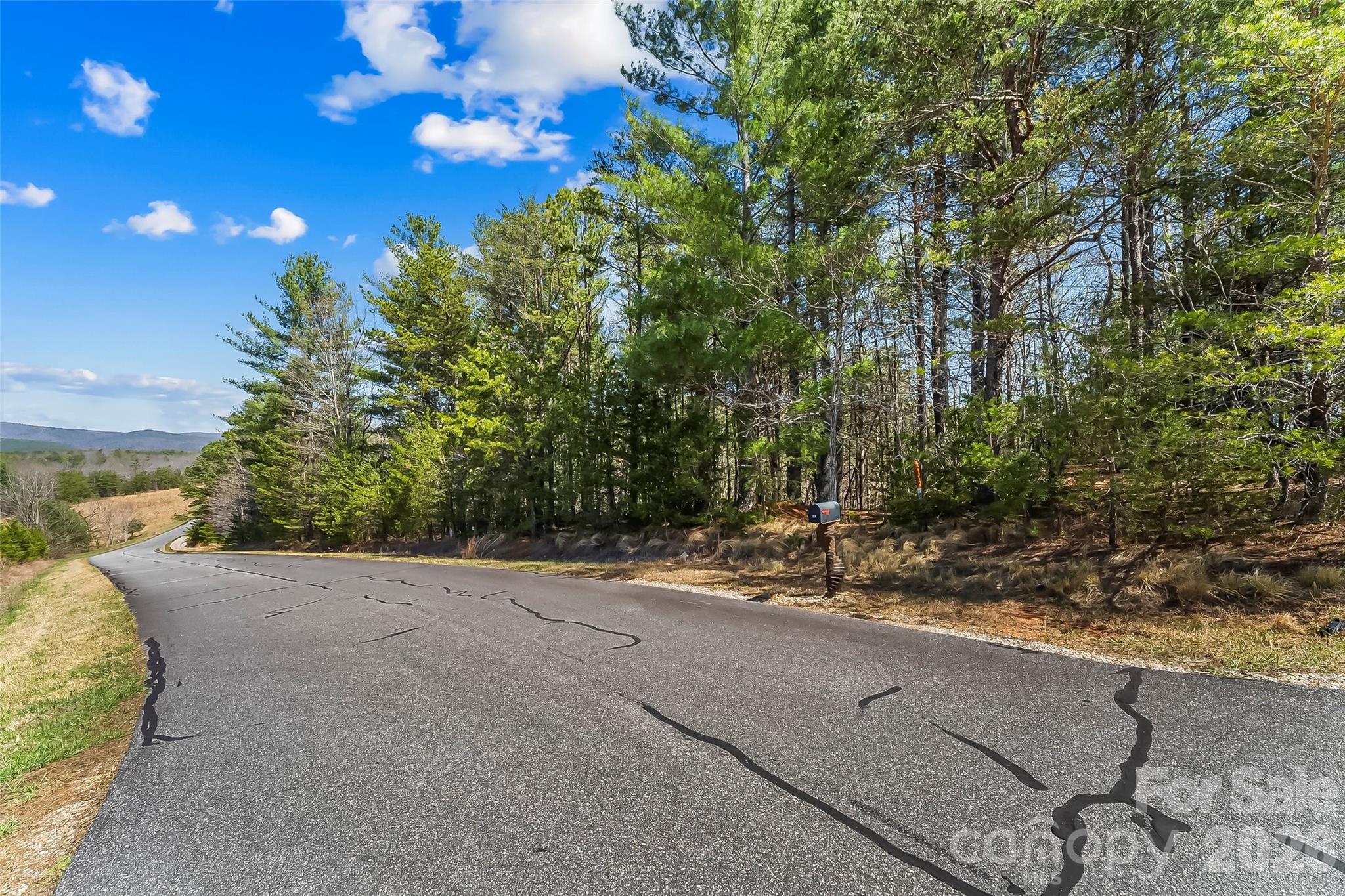 Lot at 121 Lake Crest Drive, Nebo, photo 5 of 17
