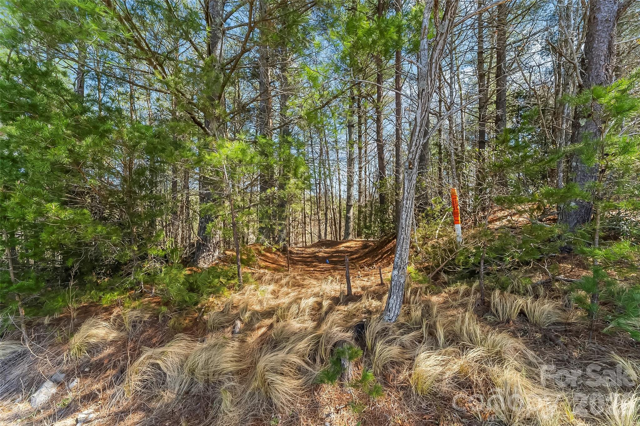 Lot at 121 Lake Crest Drive, Nebo, photo 12 of 17