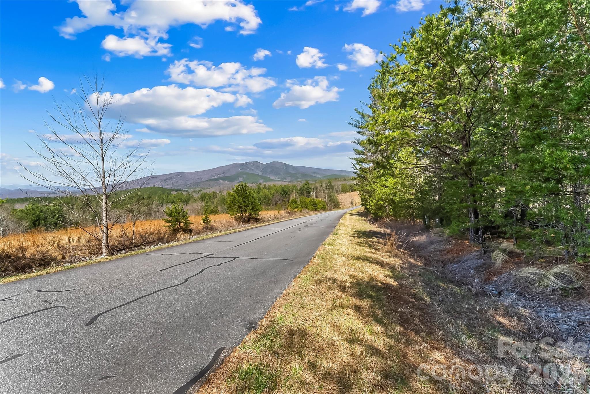 Lot at 121 Lake Crest Drive, Nebo, photo 4 of 17