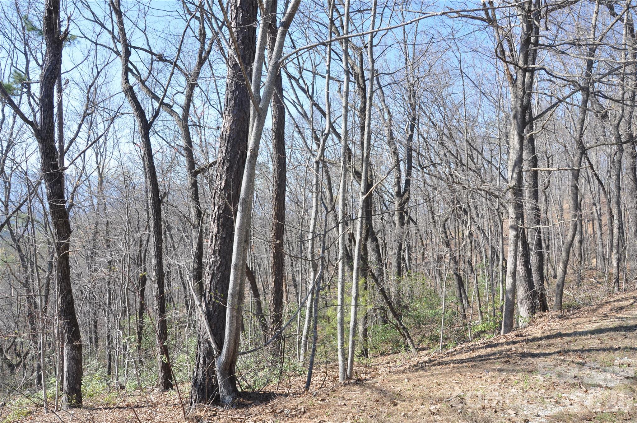 Lot at TBD Mountain Crest Drive S, Marion, photo 2 of 6