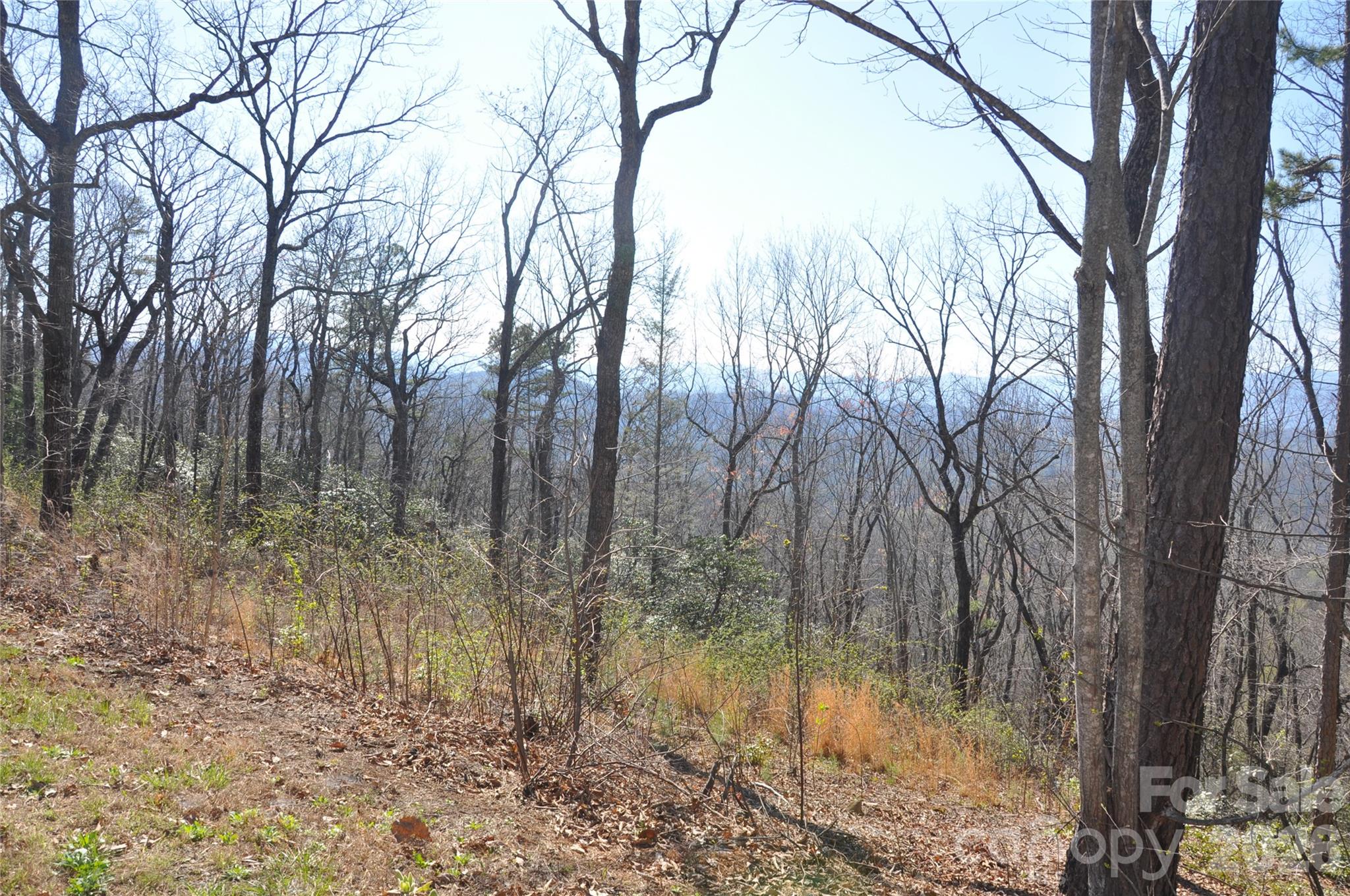 Lot at TBD Mountain Crest Drive S, Marion, photo 3 of 6