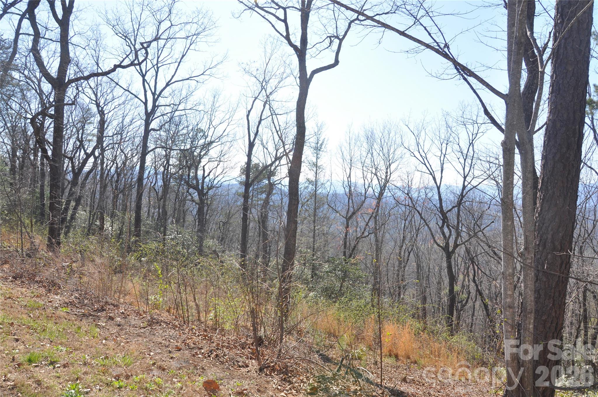 Lot at TBD Mountain Crest Drive S, Marion, photo 4 of 6