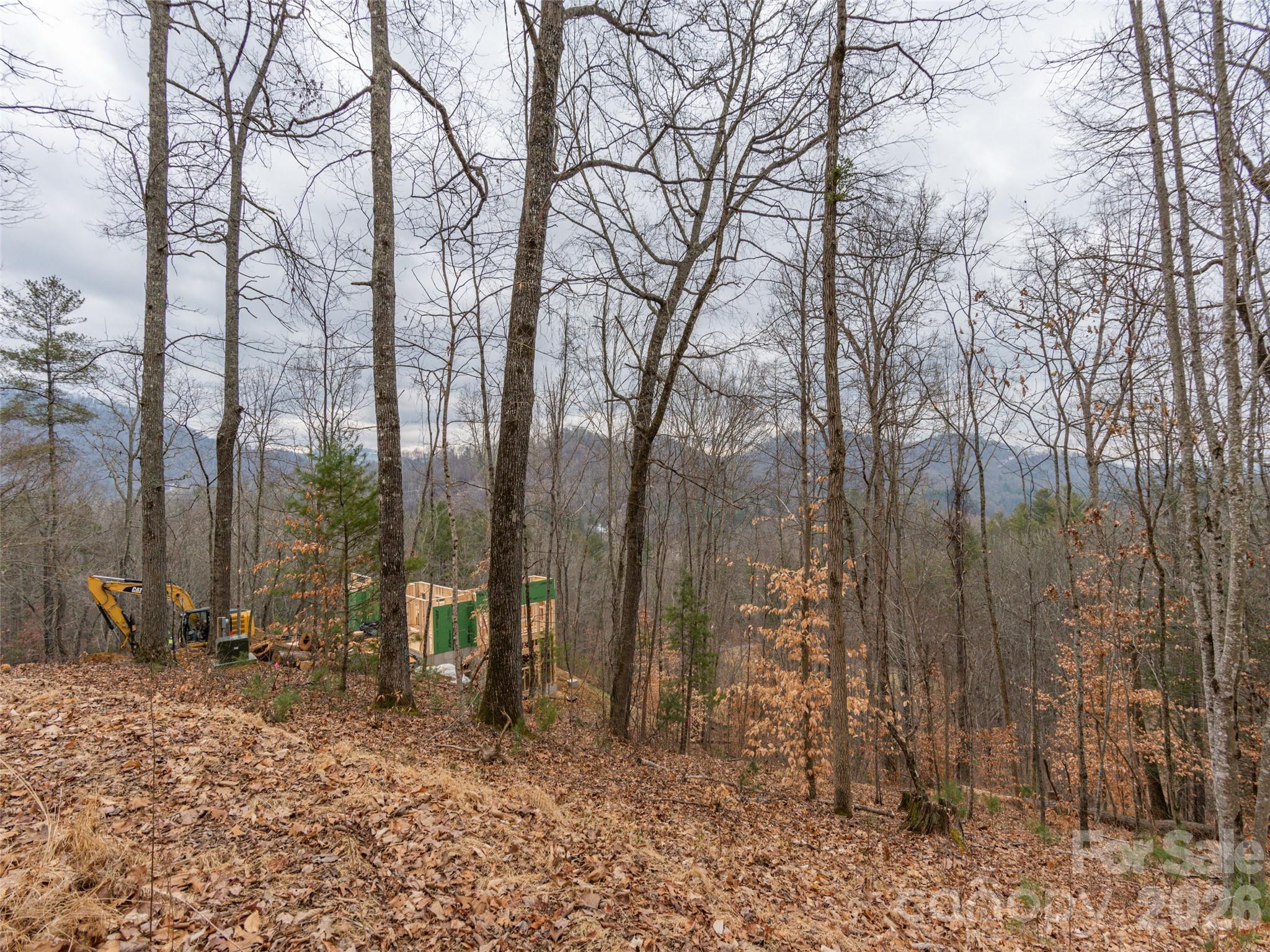Lot at 189 Sandys Home Place, Mars Hill, photo 11 of 17