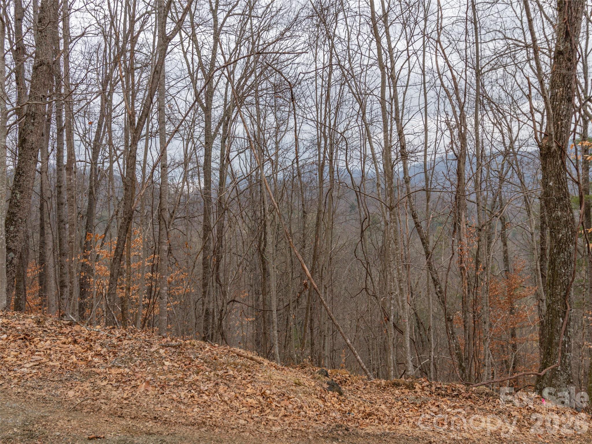 Lot at 189 Sandys Home Place, Mars Hill, photo 13 of 17