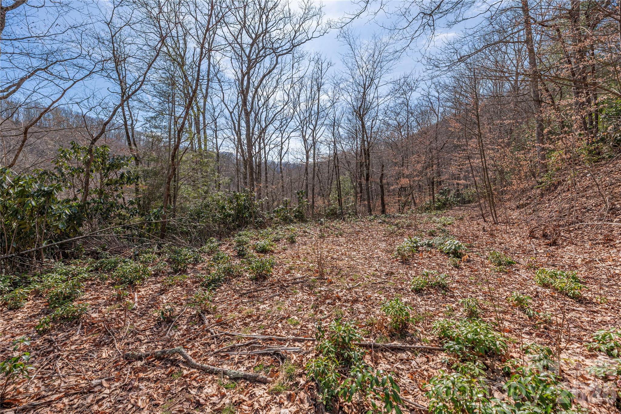 Lot at 00 Autumn Drive, Maggie Valley, photo 6 of 20
