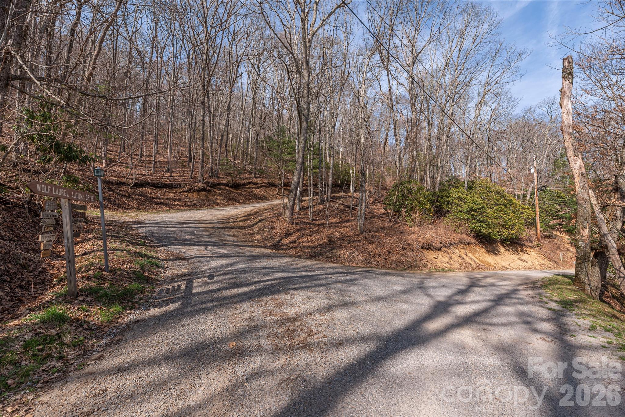 Lot at 00 Autumn Drive, Maggie Valley, photo 10 of 20
