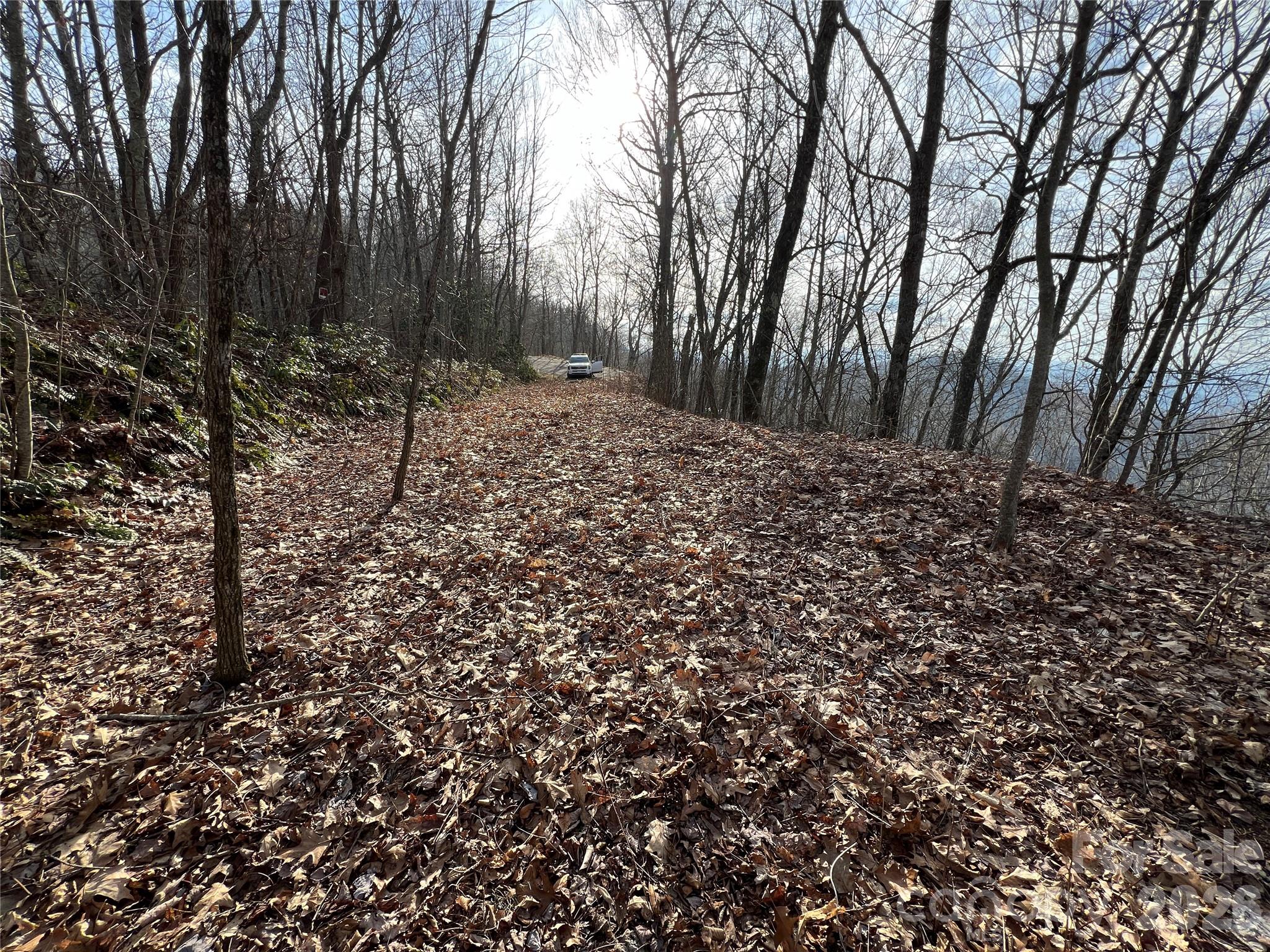Lot at Lot 24/26 Butterfly Path, Bryson City, photo 6 of 10