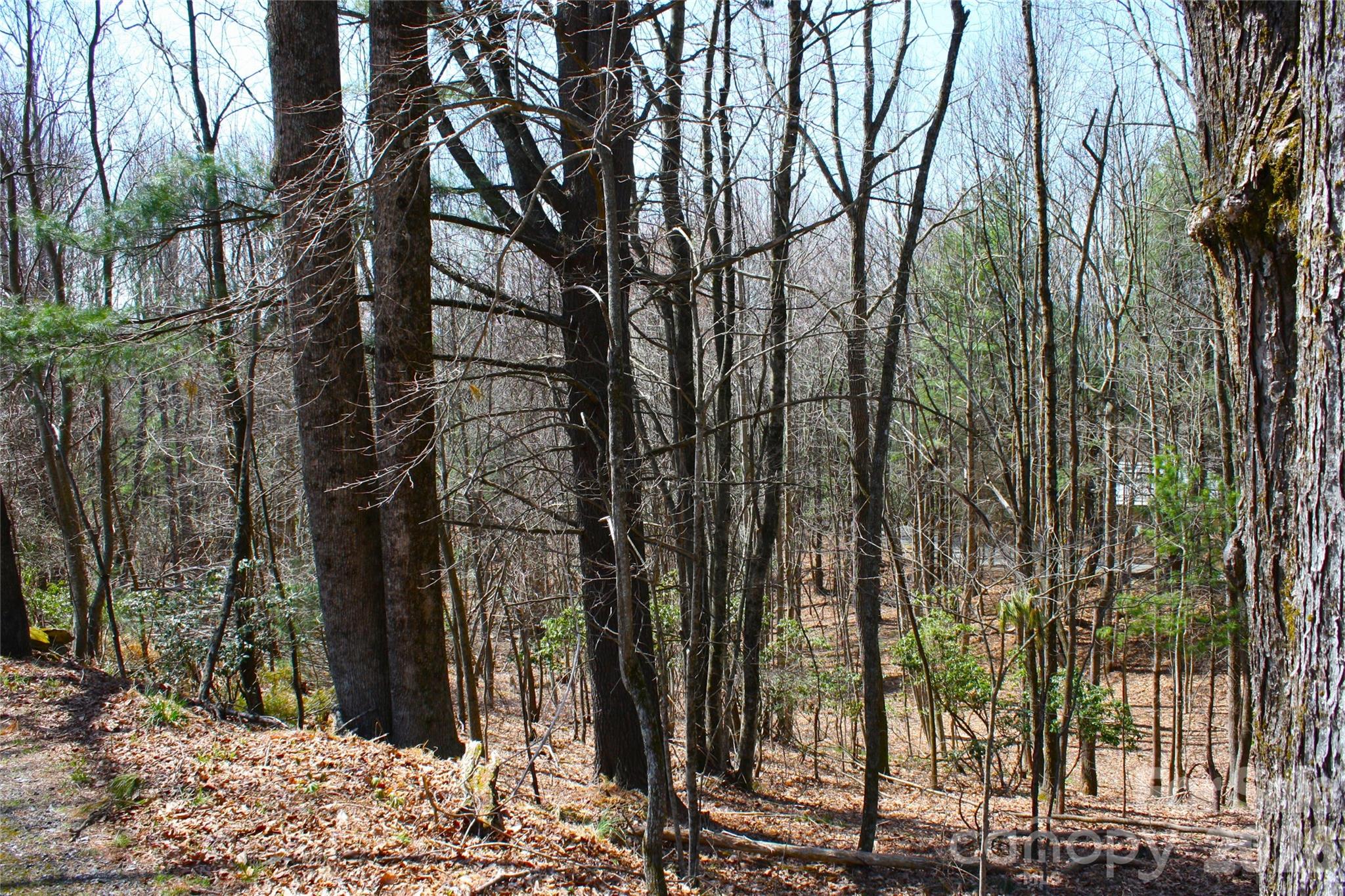Lot at 0000 Slick Rock Road, Brevard, photo 3 of 9