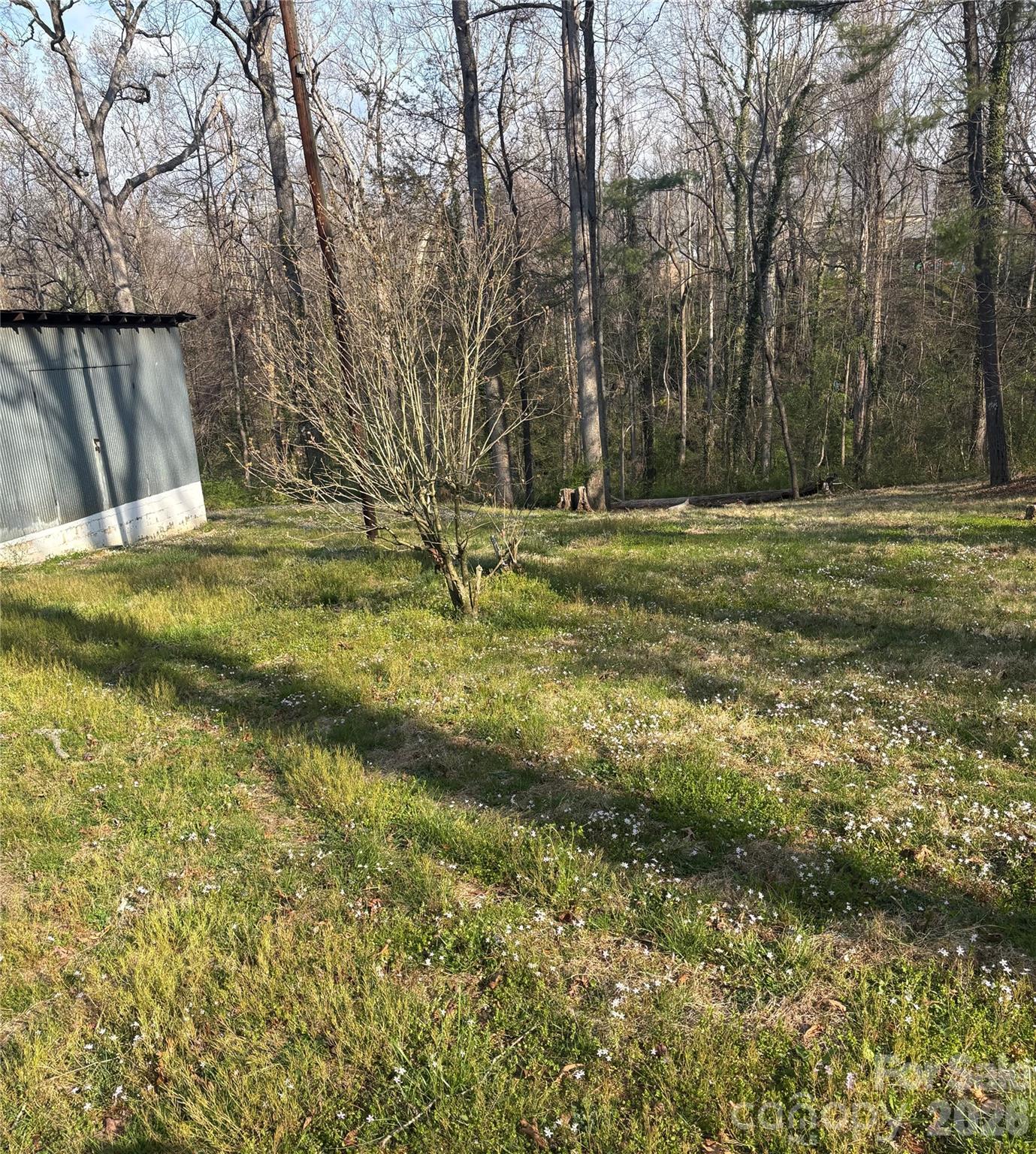 Property off driveway - 67 Shawnee Trail, Asheville
